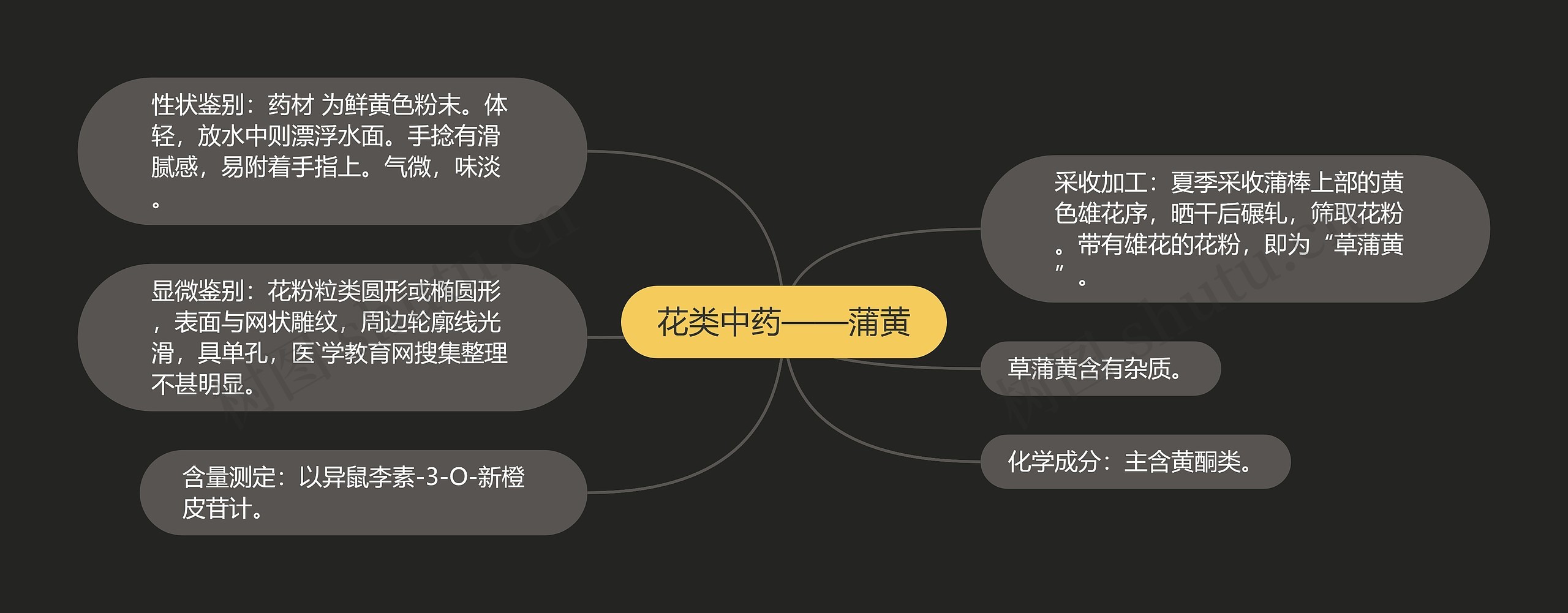 花类中药——蒲黄思维导图