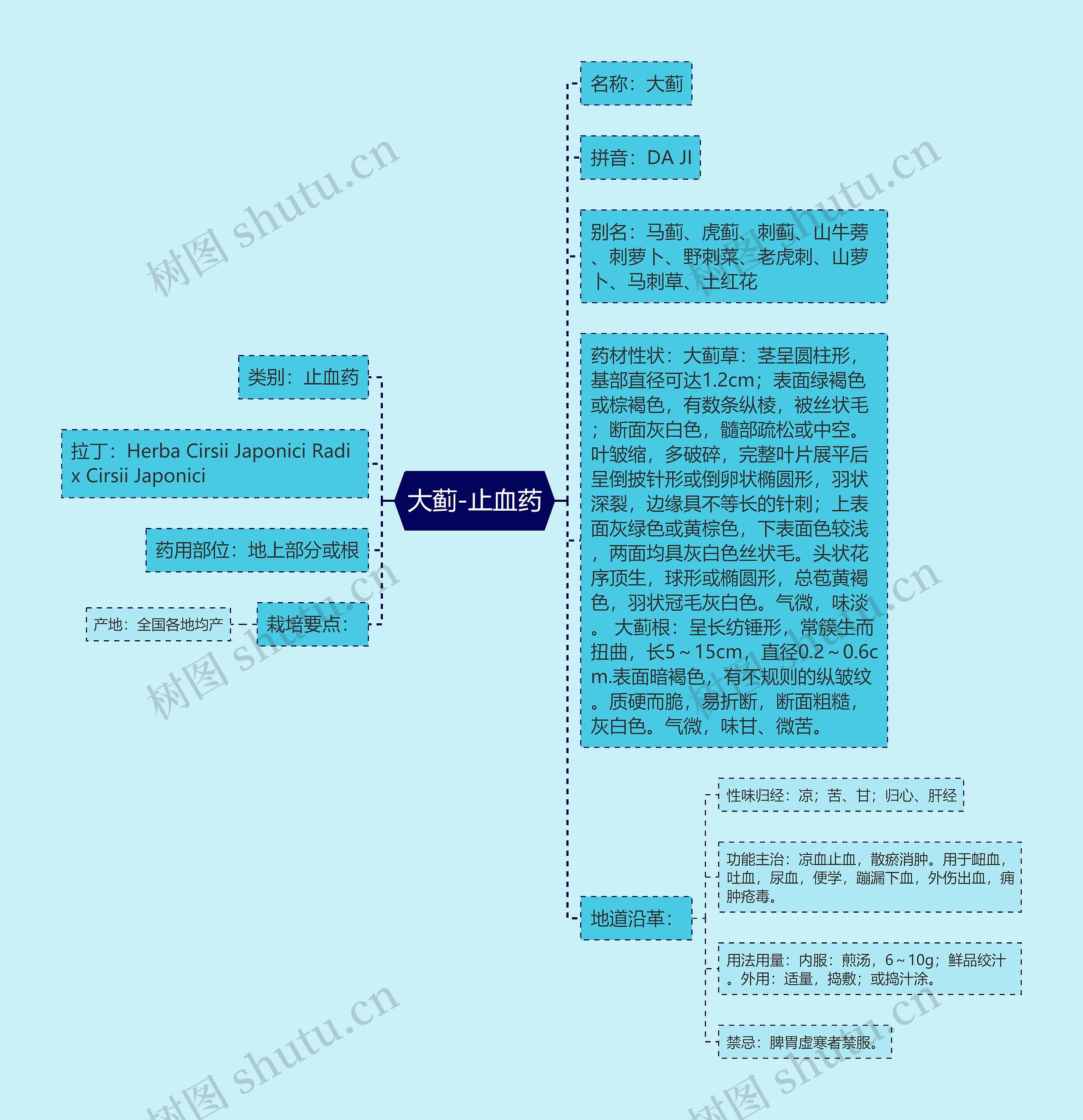 大蓟-止血药思维导图