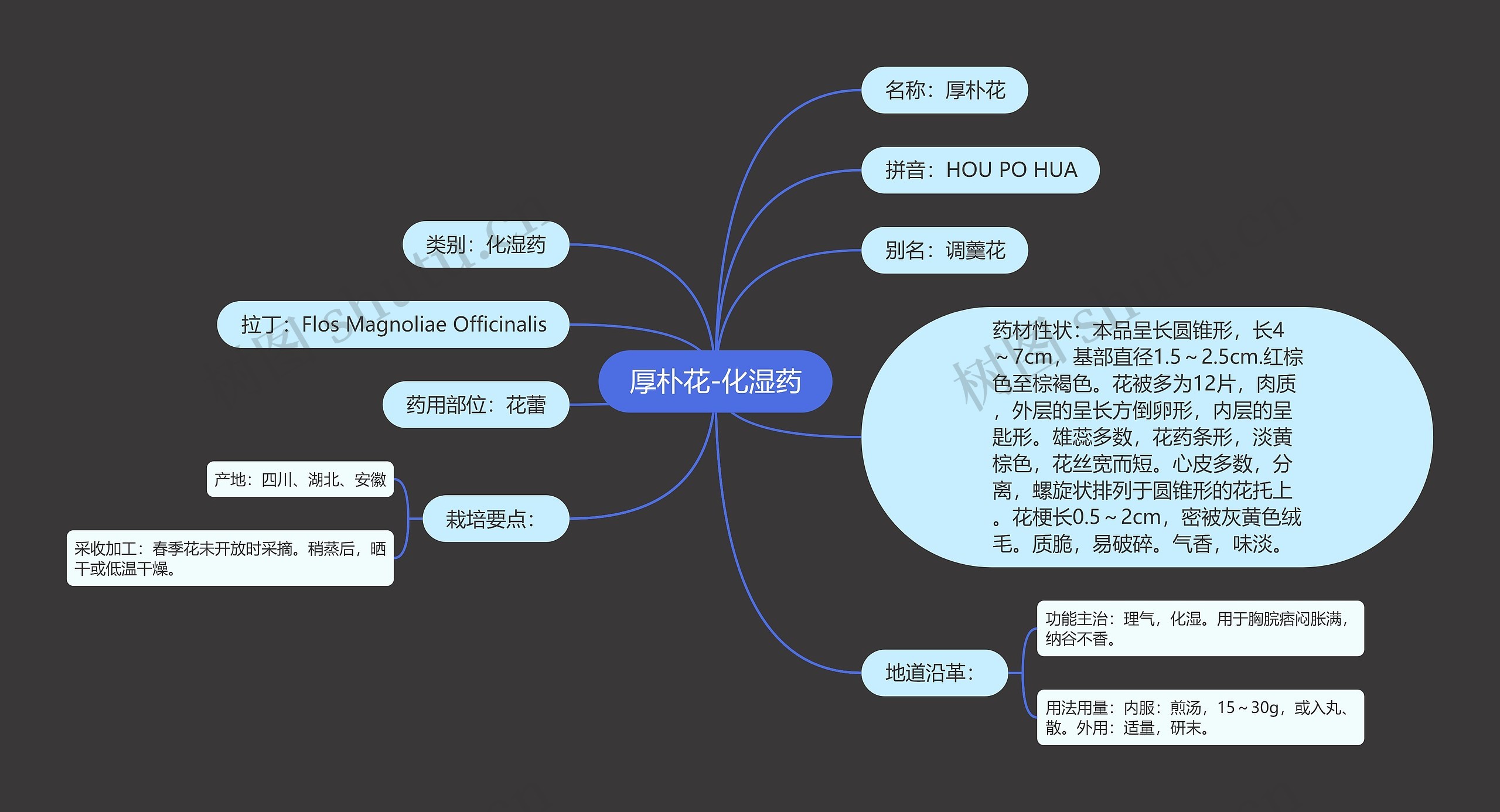 厚朴花-化湿药思维导图