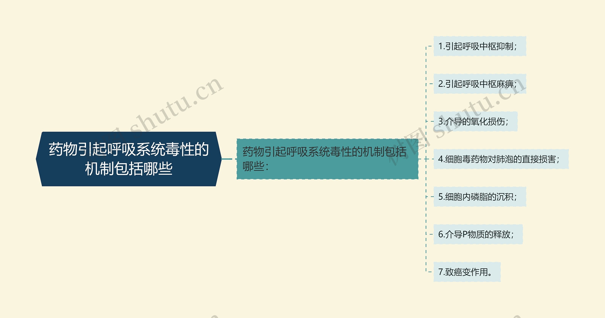 药物引起呼吸系统毒性的机制包括哪些思维导图