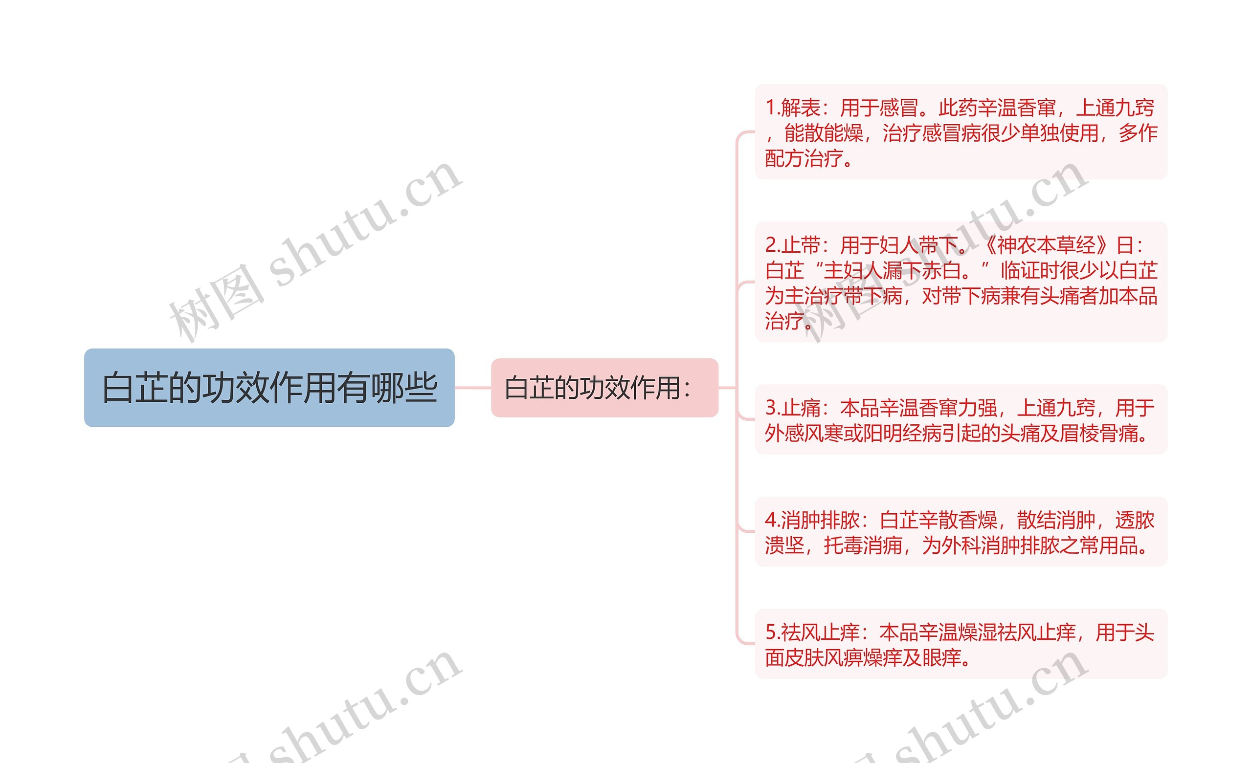 白芷的功效作用有哪些思维导图