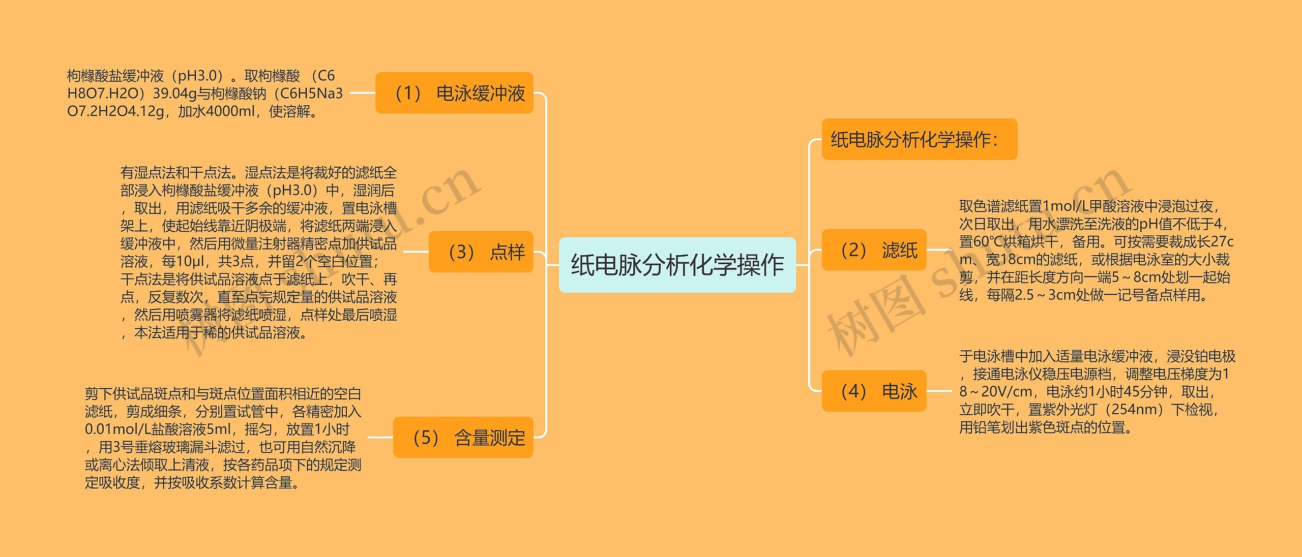 纸电脉分析化学操作