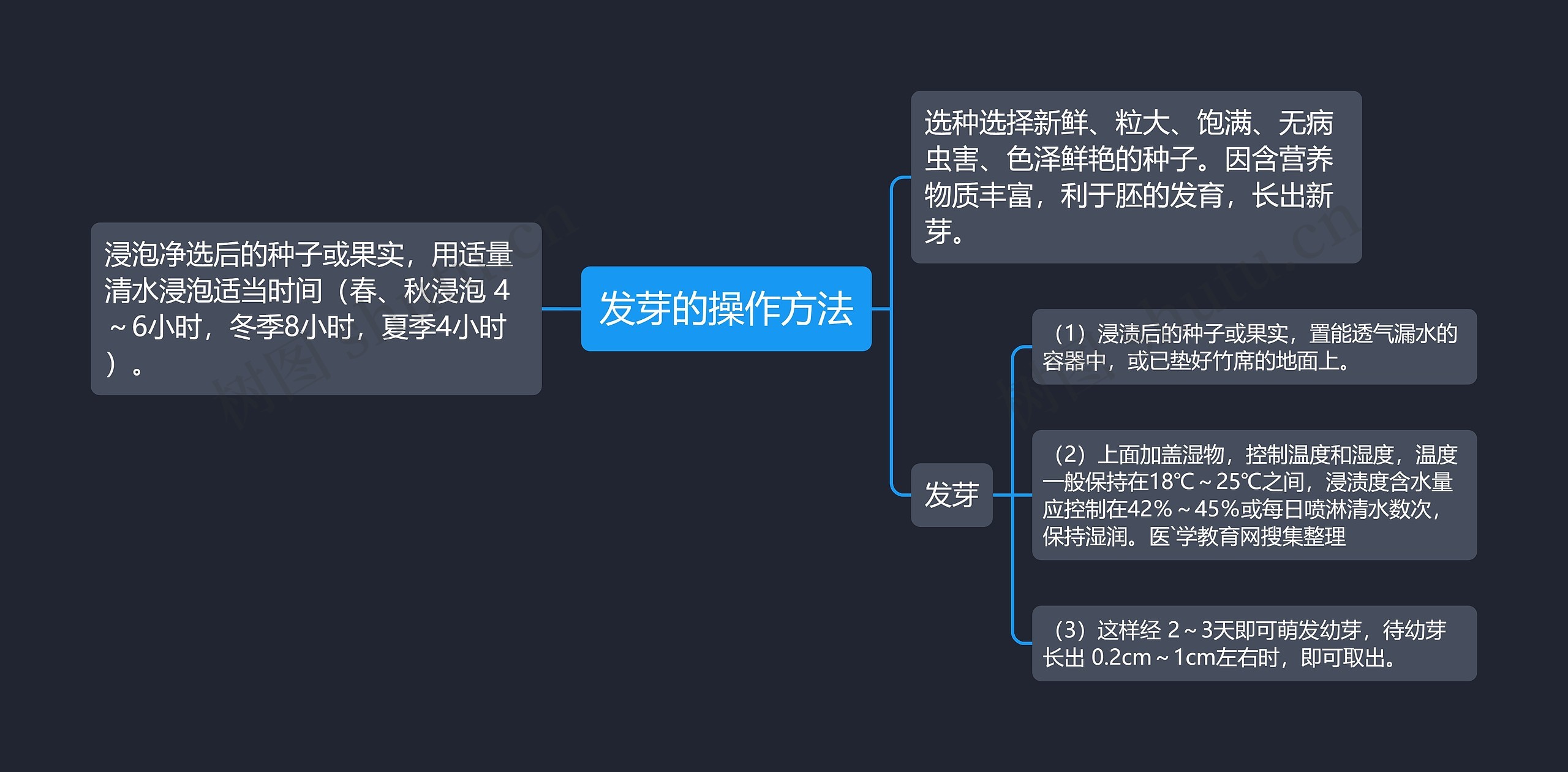 发芽的操作方法