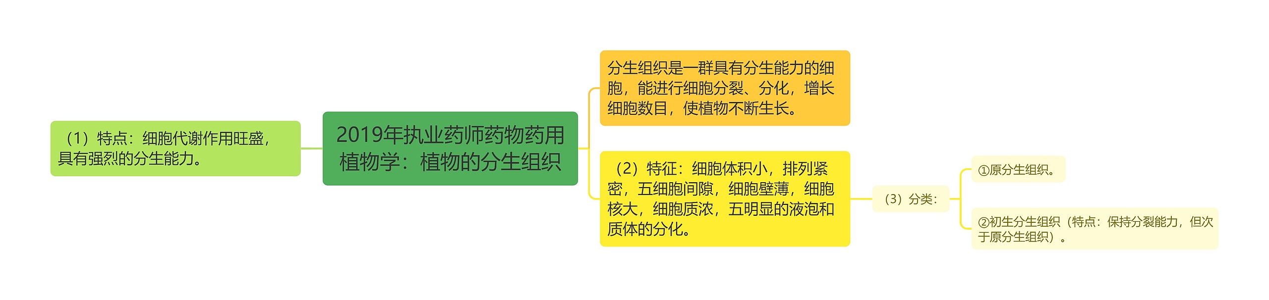 2019年执业药师药物药用植物学：植物的分生组织思维导图