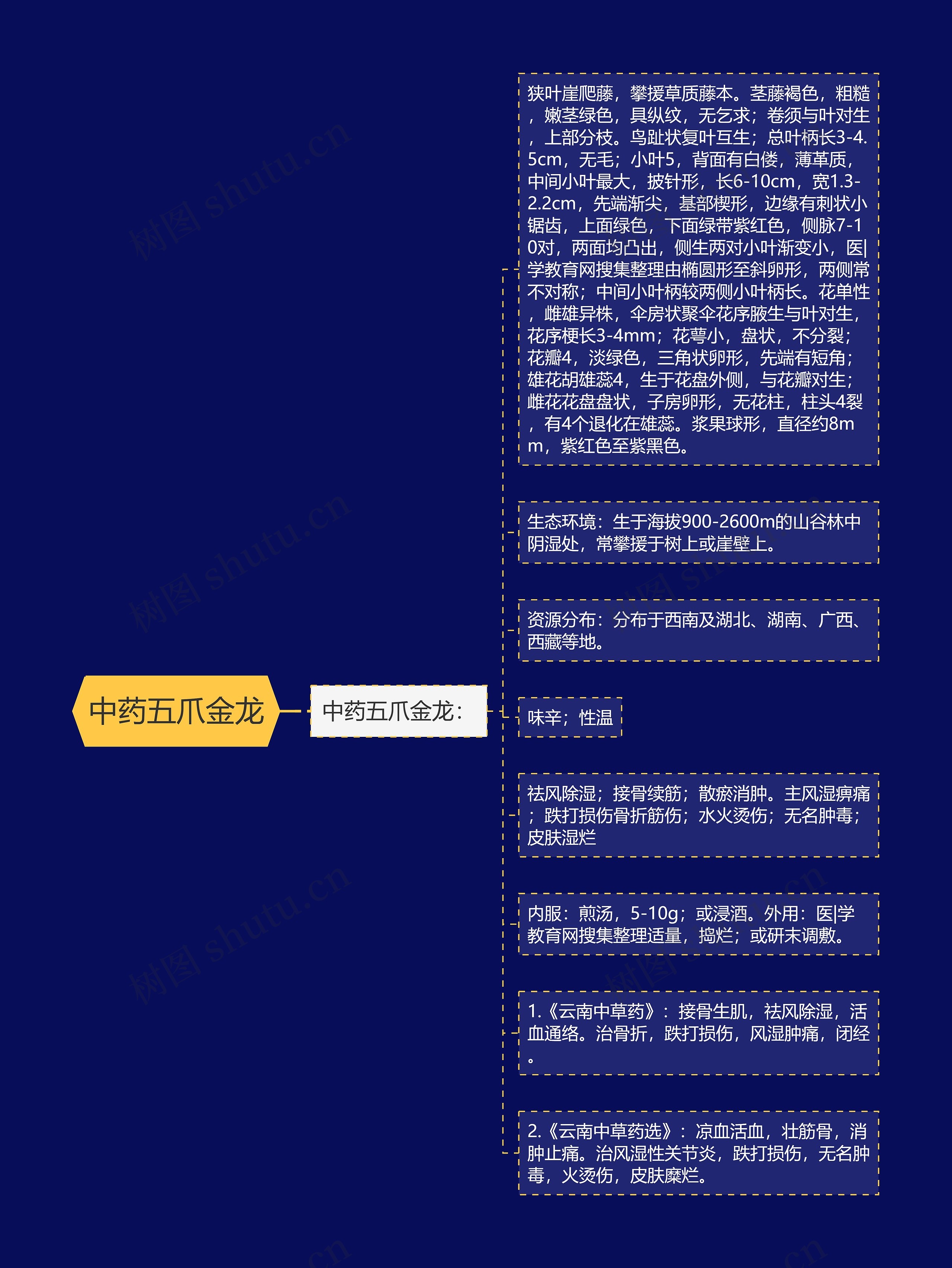 中药五爪金龙思维导图高清图 中药五爪金龙思维导图