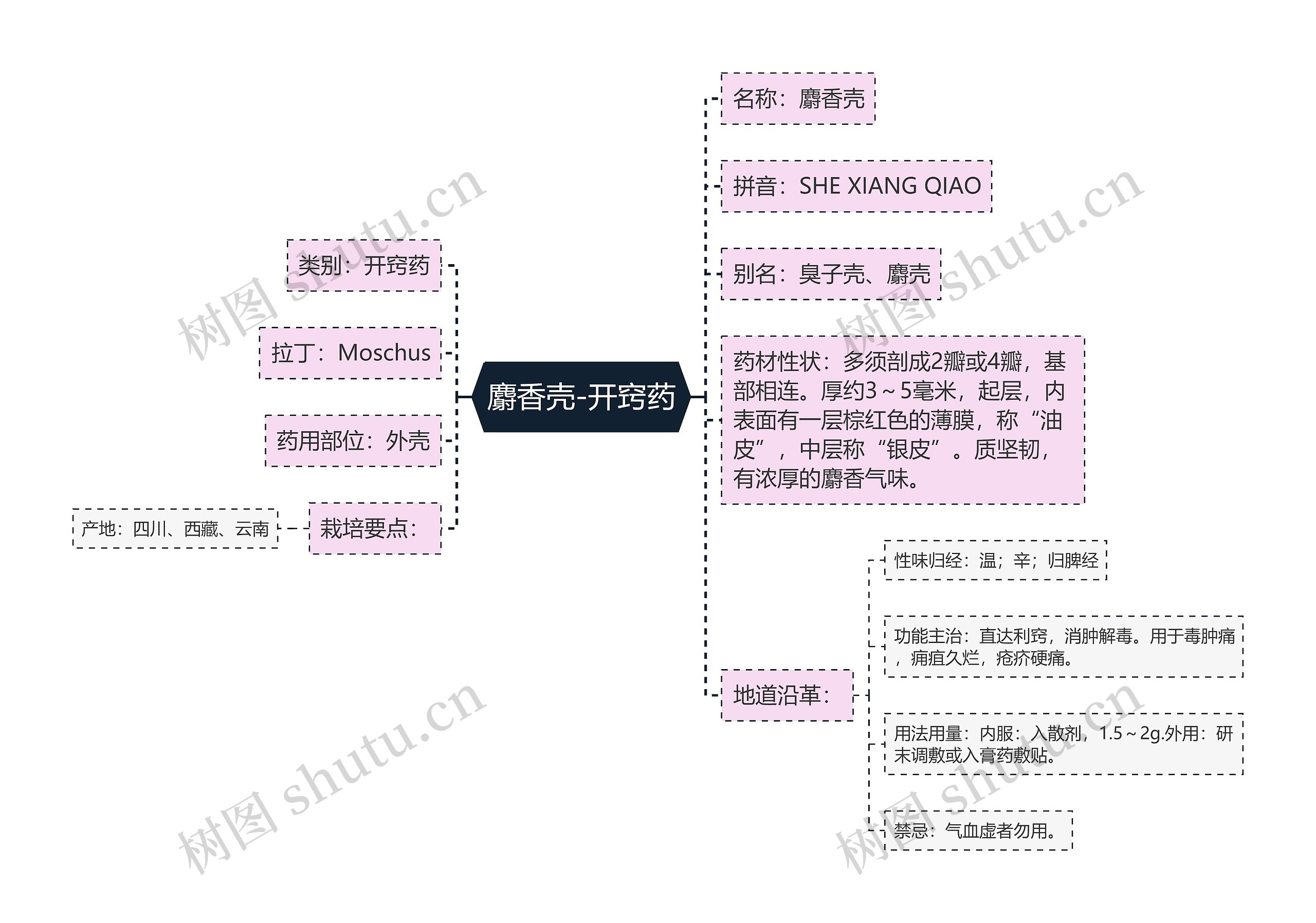 麝香壳-开窍药思维导图