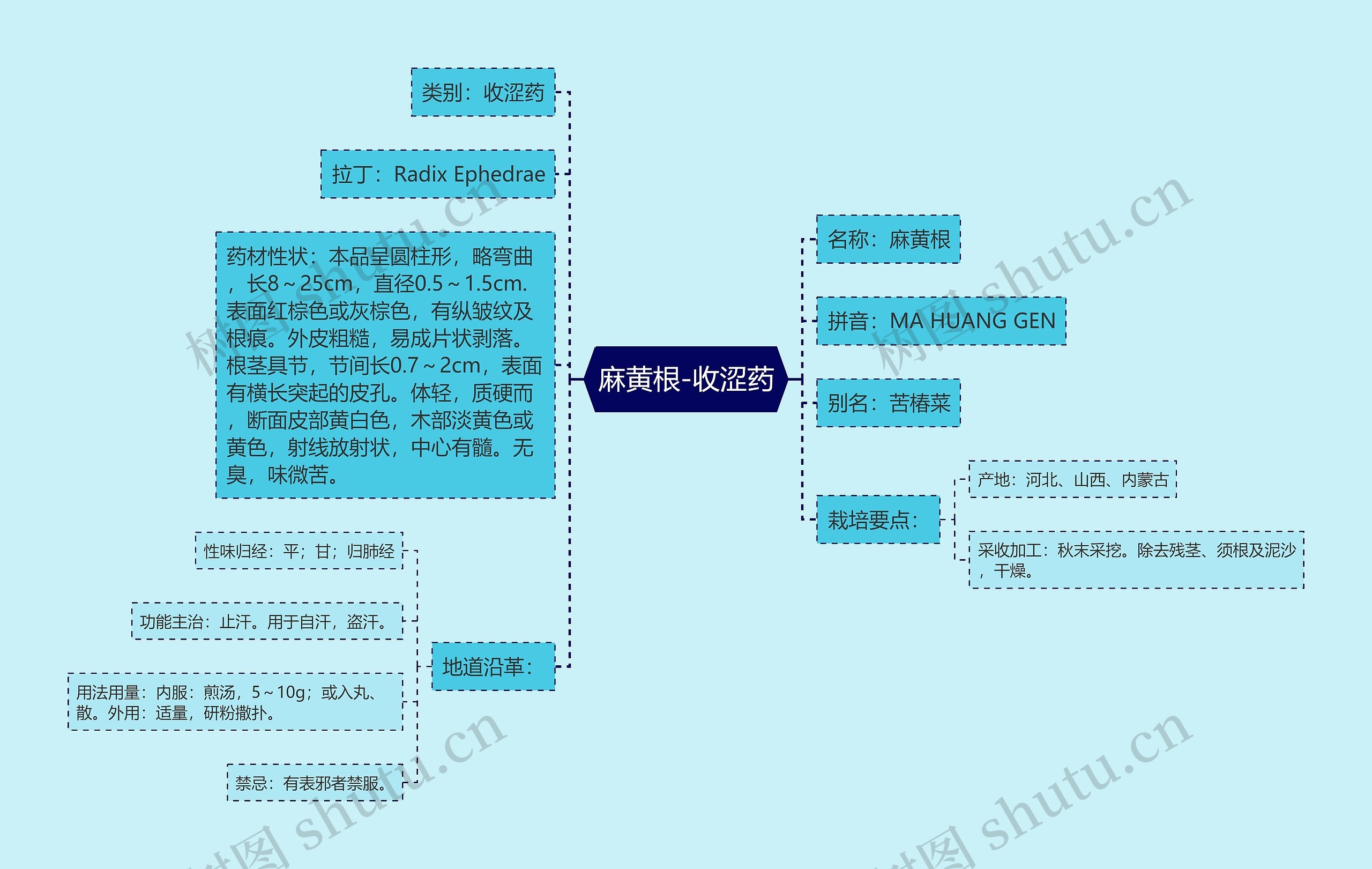 麻黄根-收涩药思维导图