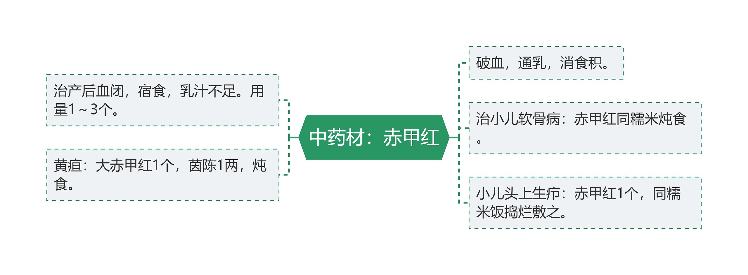 中药材：赤甲红思维导图