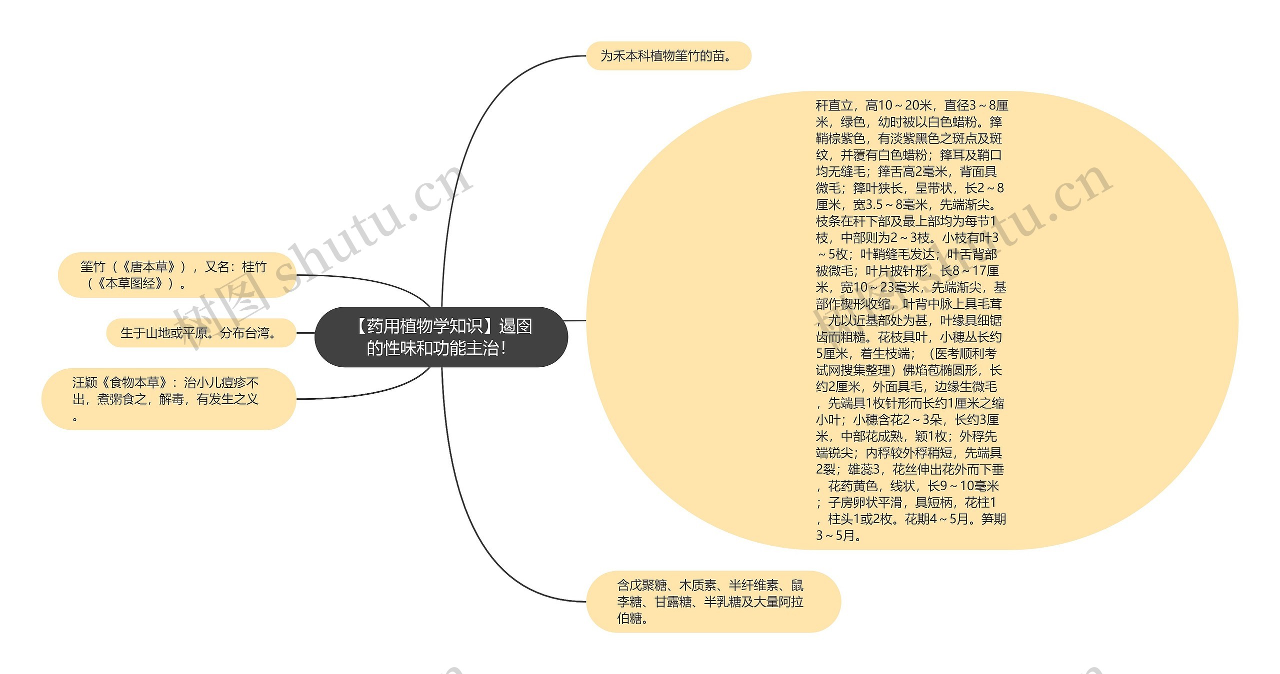 【药用植物学知识】遏囹的性味和功能主治！