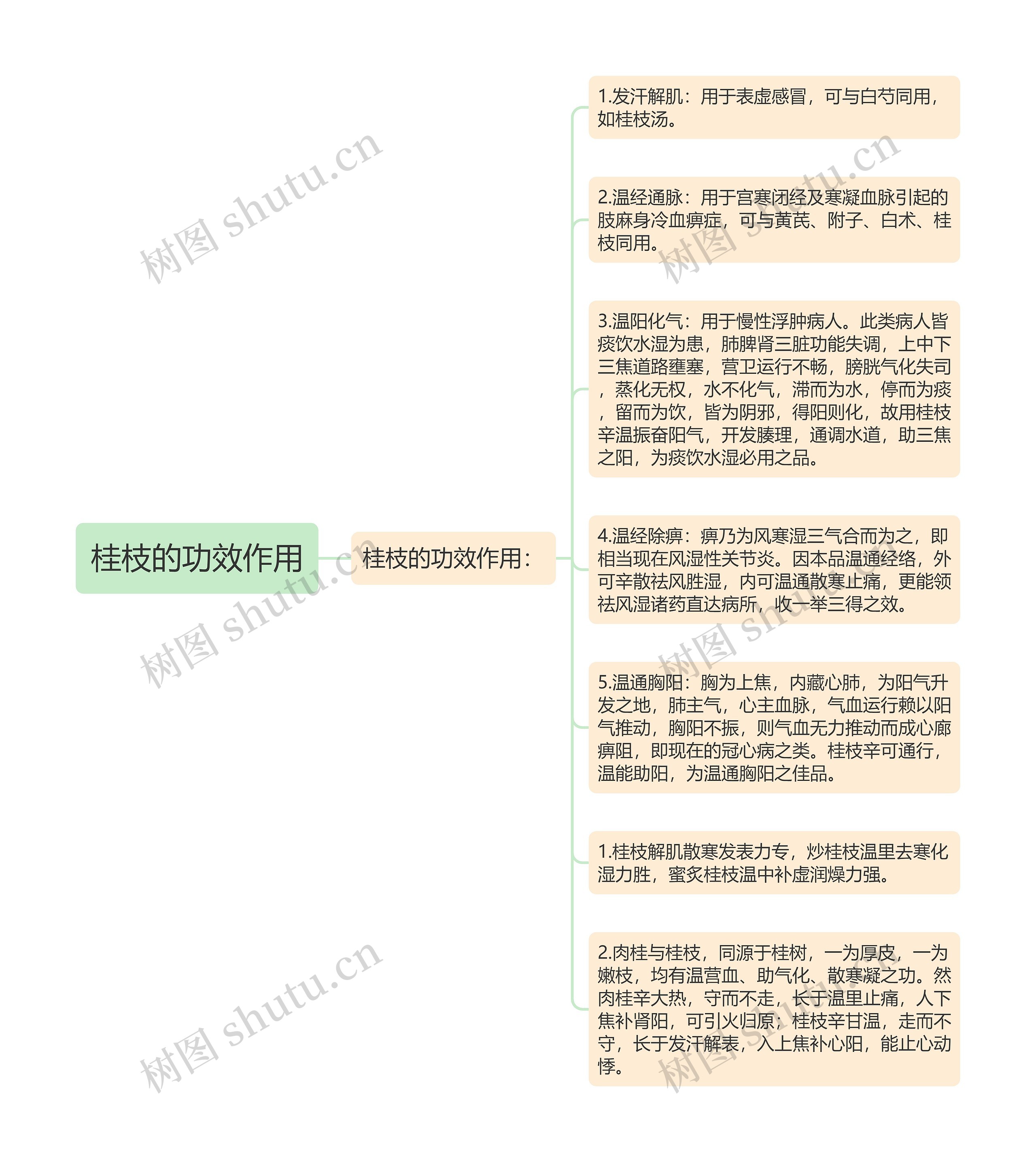 桂枝的功效作用思维导图