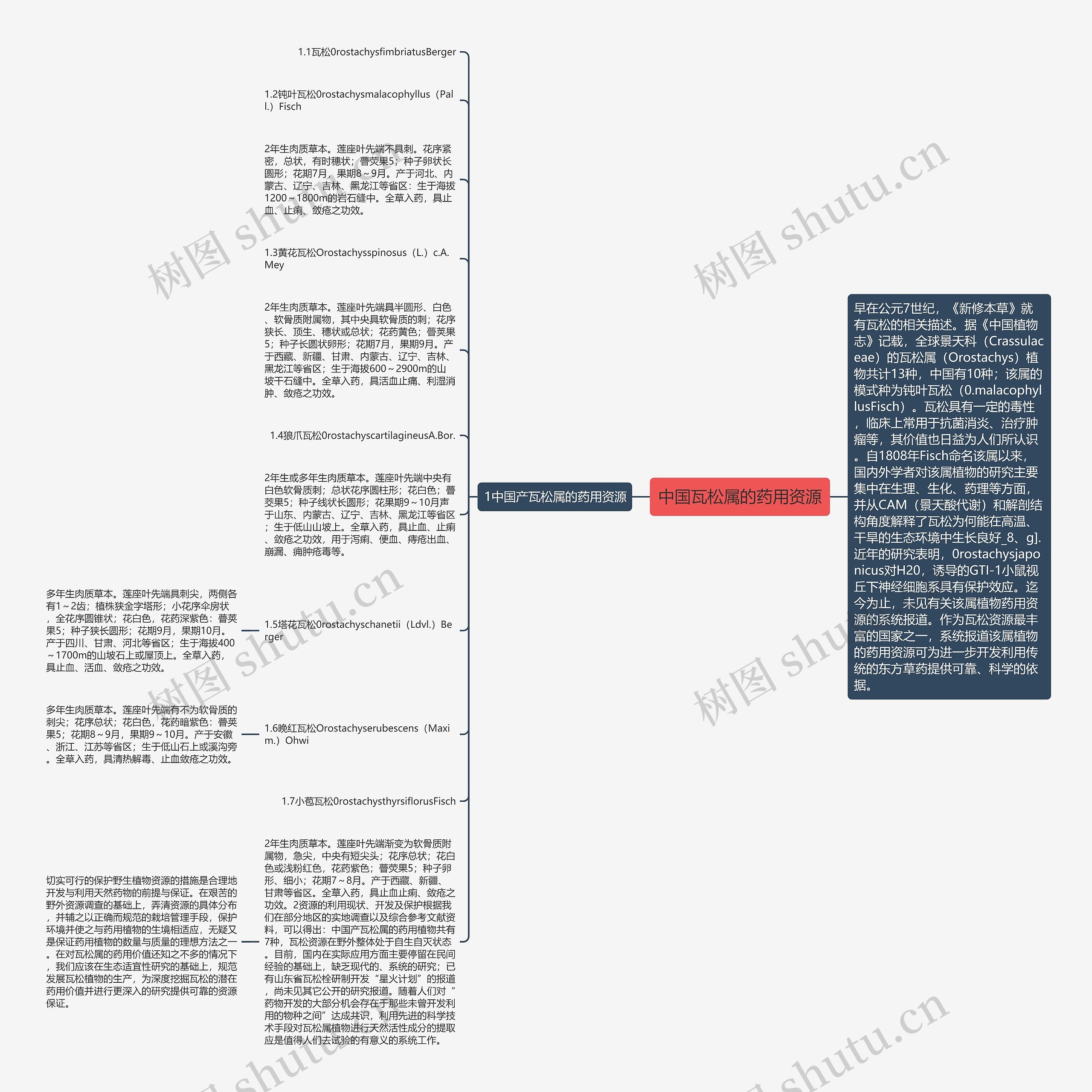 中国瓦松属的药用资源思维导图