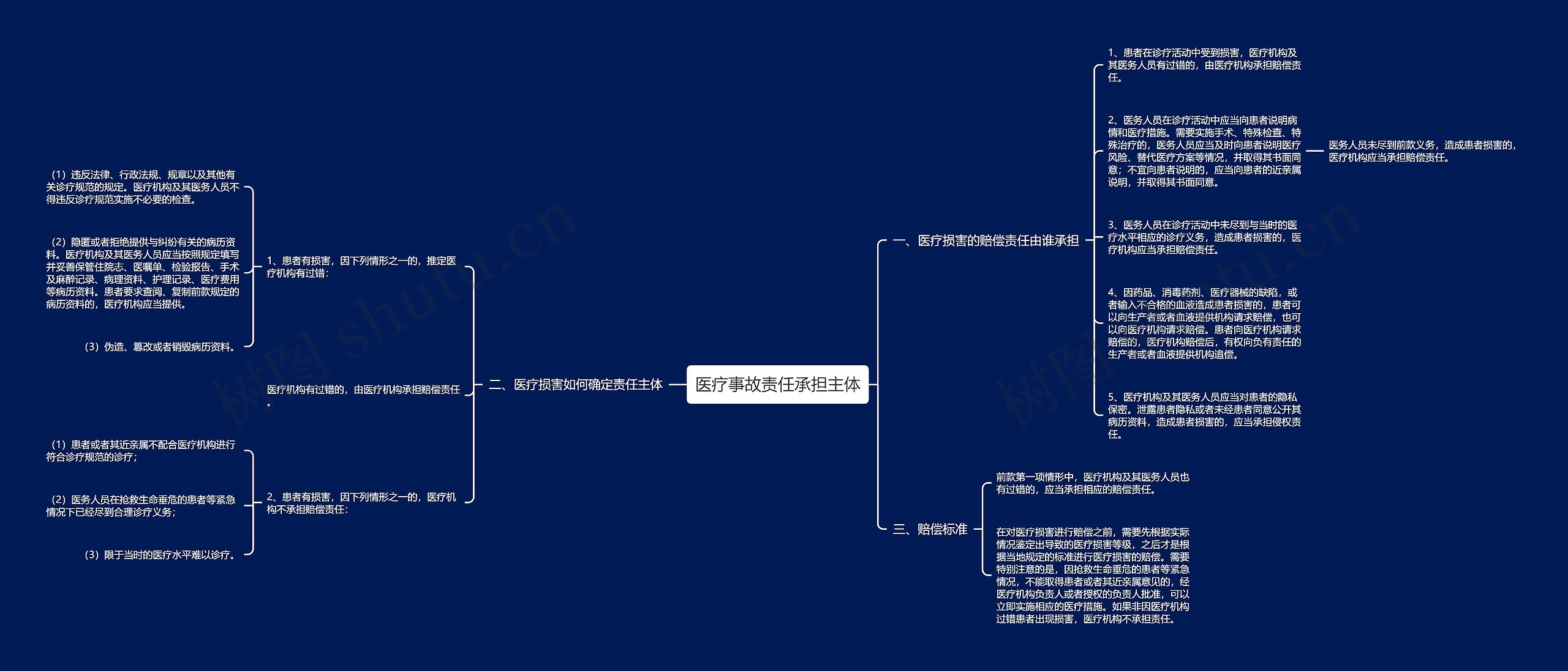 医疗事故责任承担主体思维导图