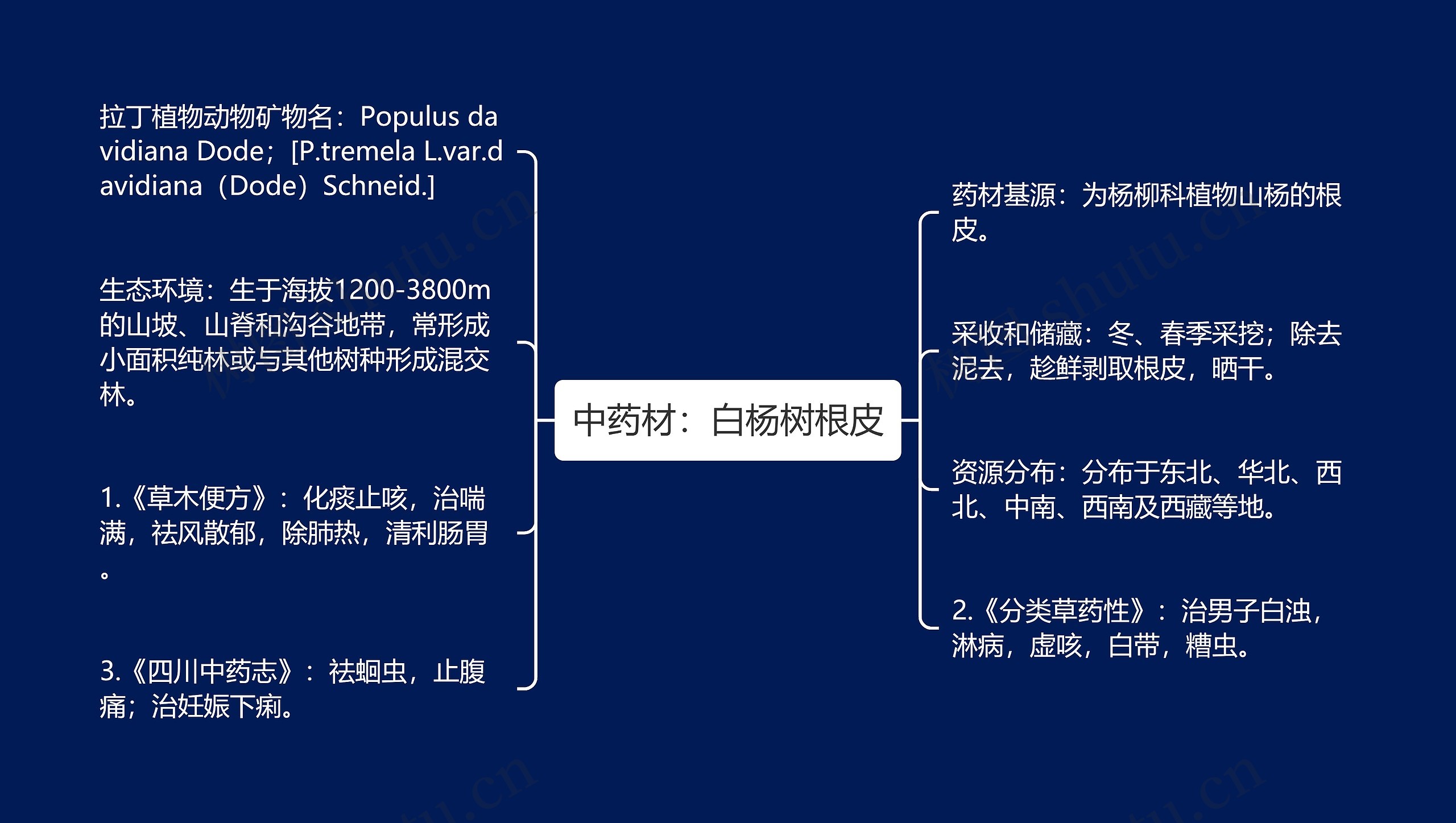 中药材：白杨树根皮