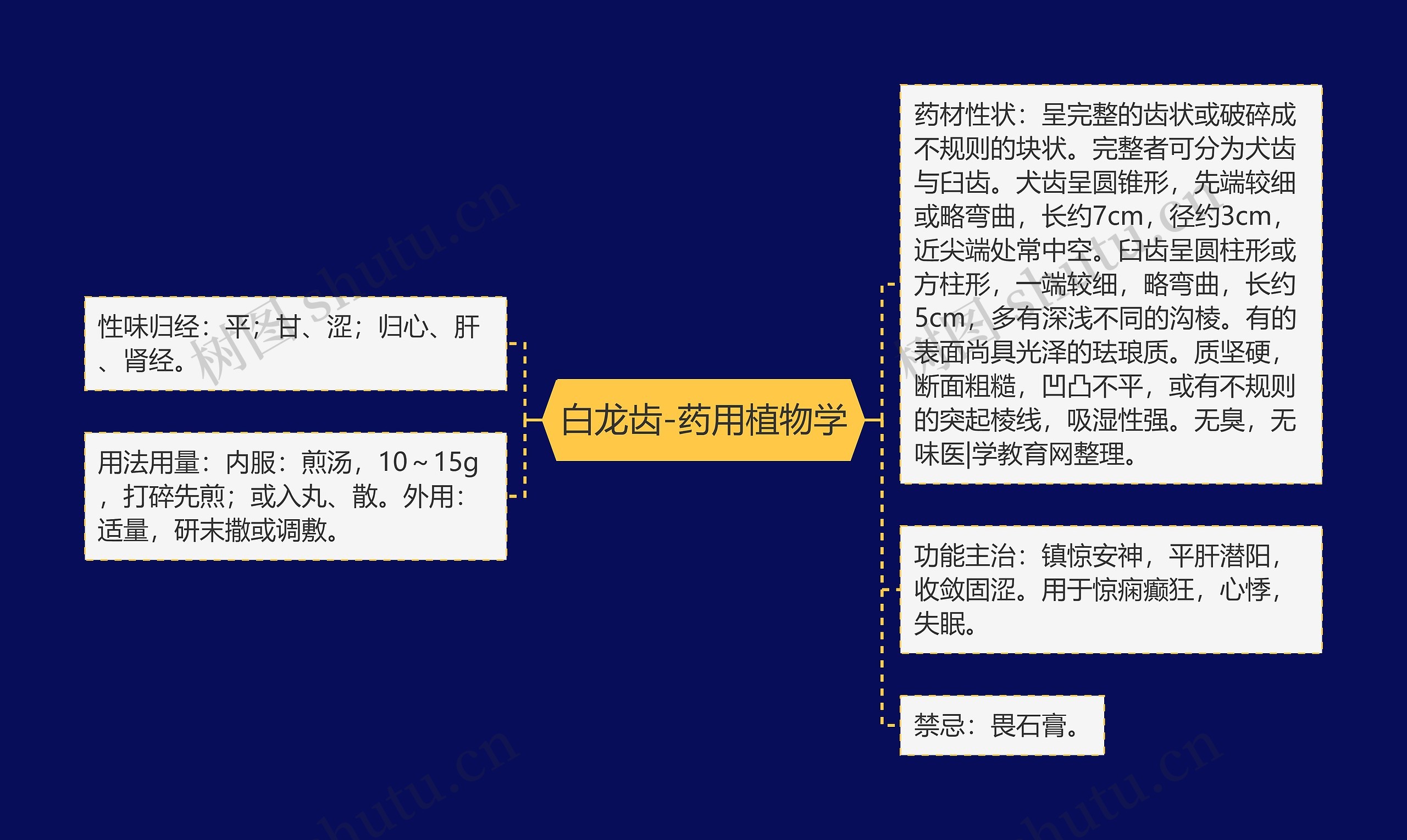 白龙齿-药用植物学思维导图