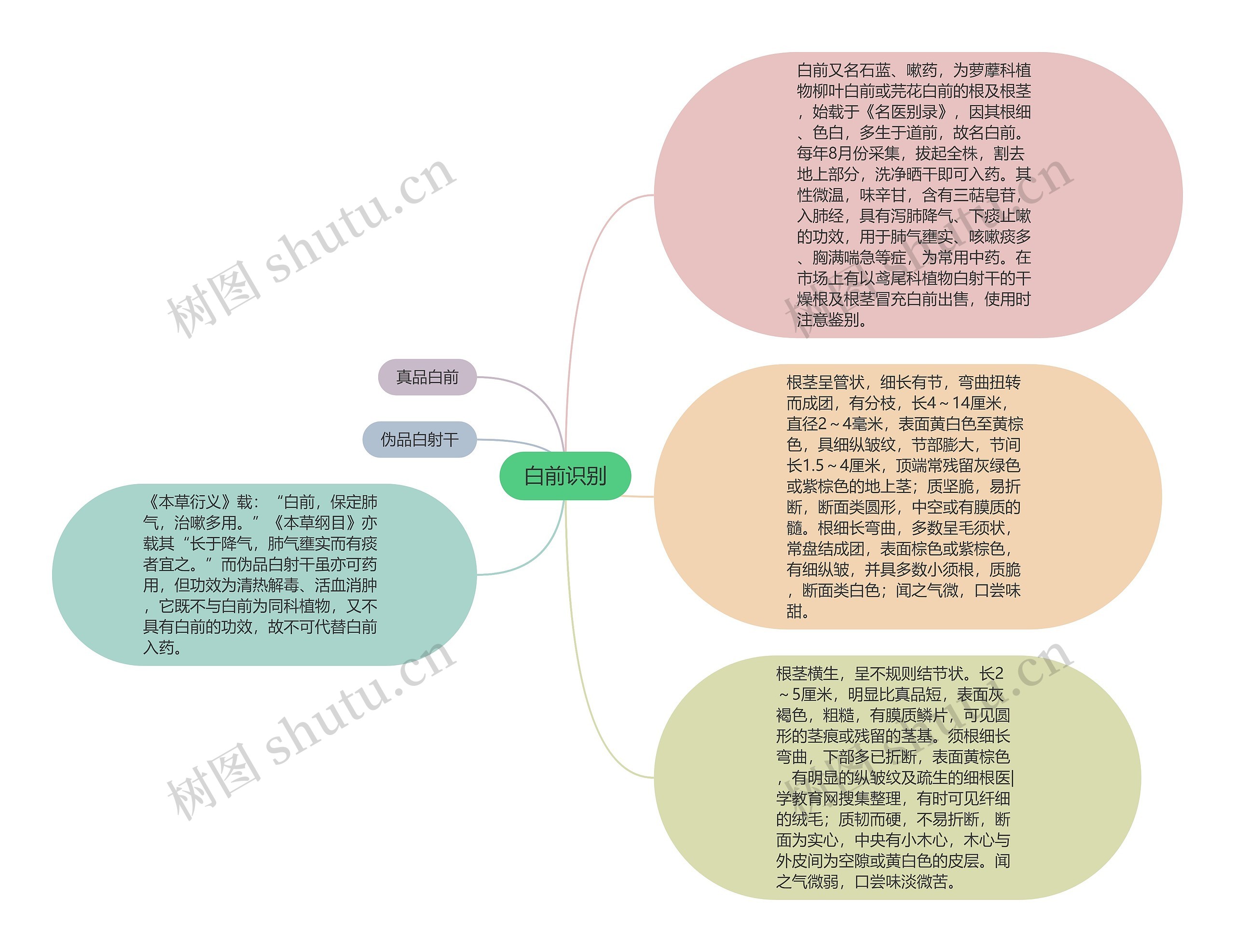 白前识别