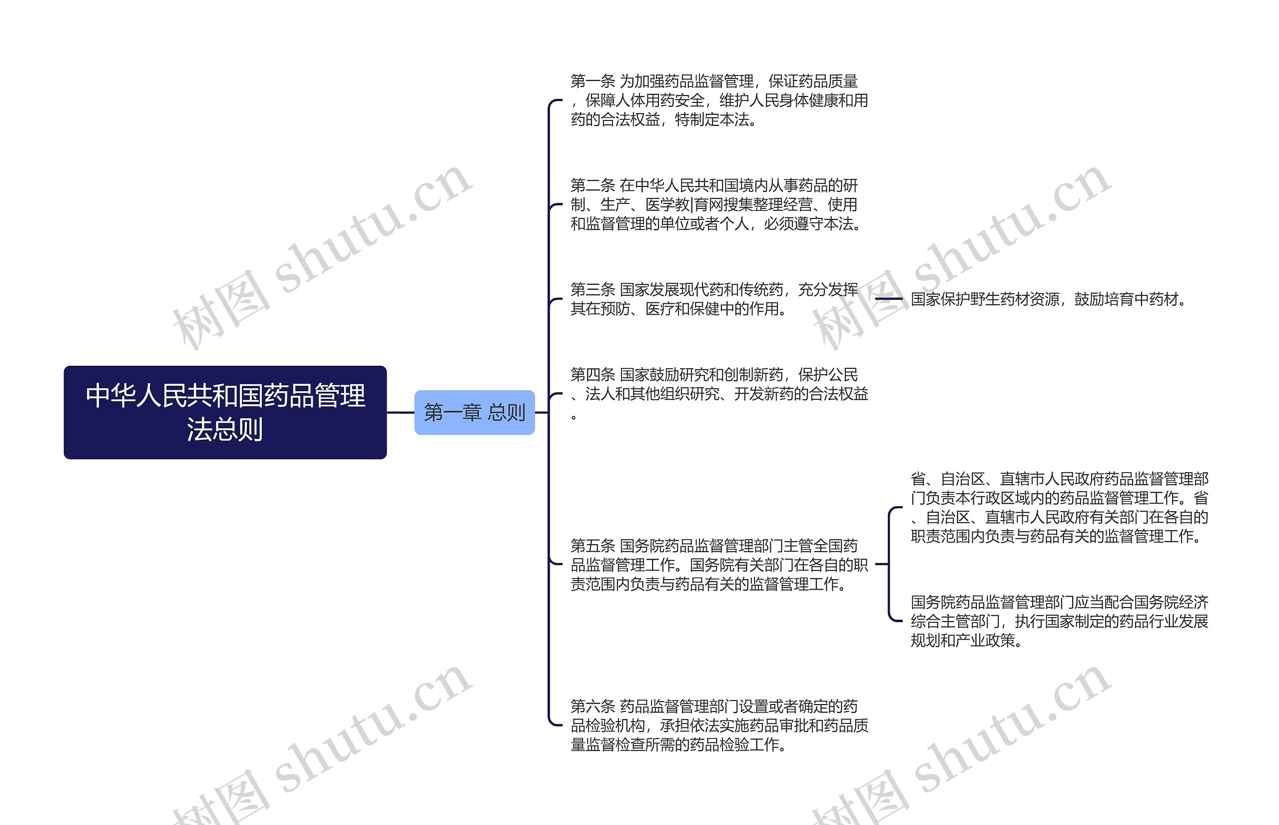 中华人民共和国药品管理法总则思维导图