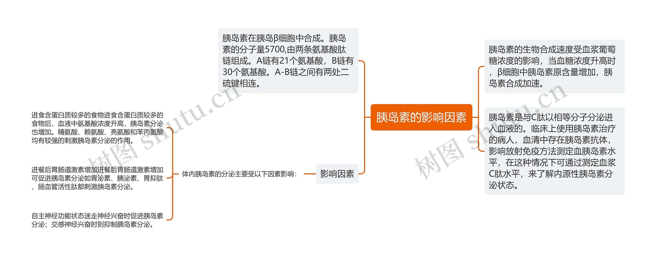 胰岛素的影响因素 胰岛素的影响因素