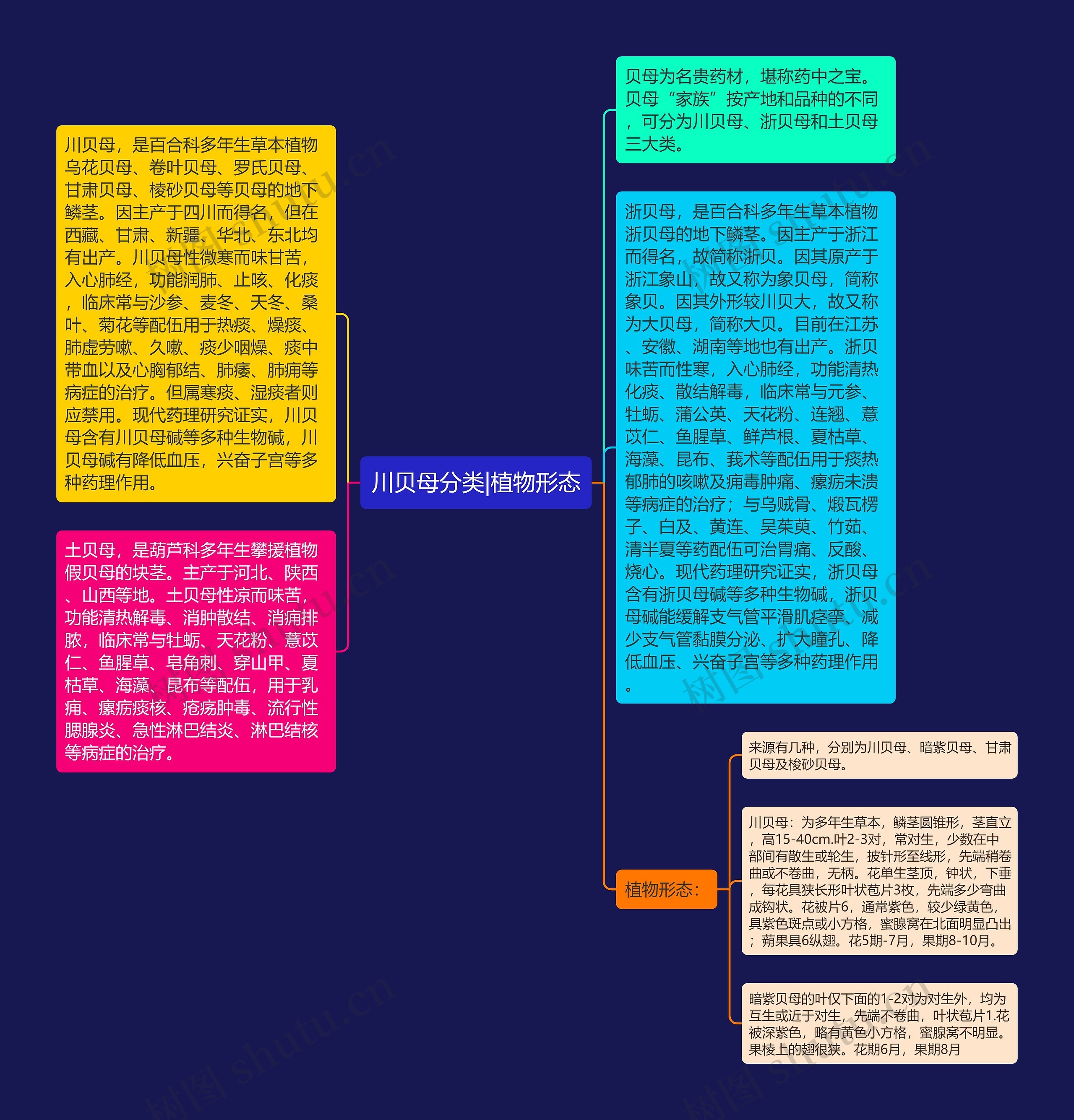 川贝母分类|植物形态思维导图