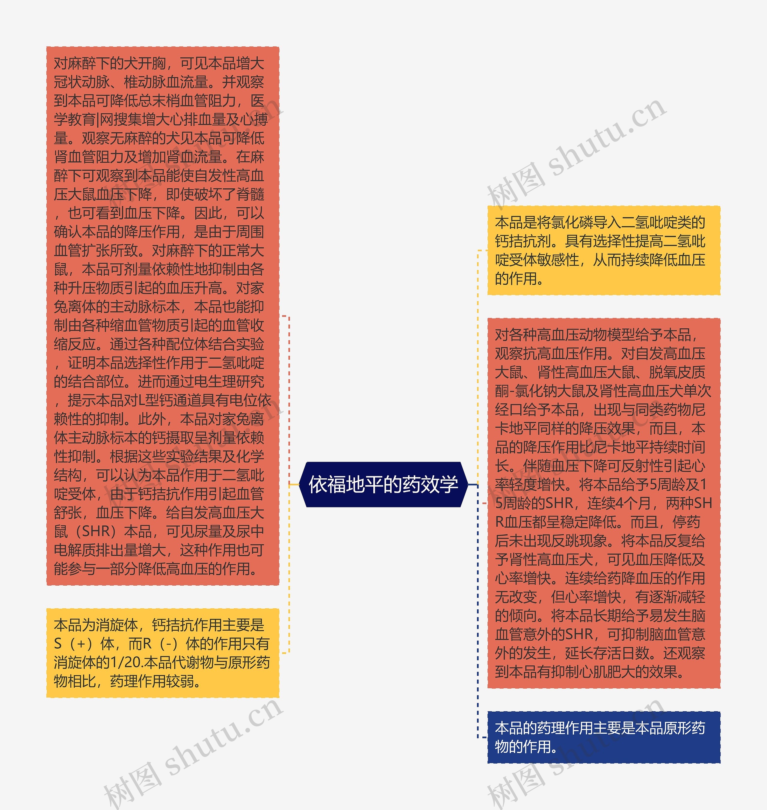 依福地平的药效学思维导图