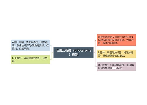 毛果云香碱（pilocarpine）机制