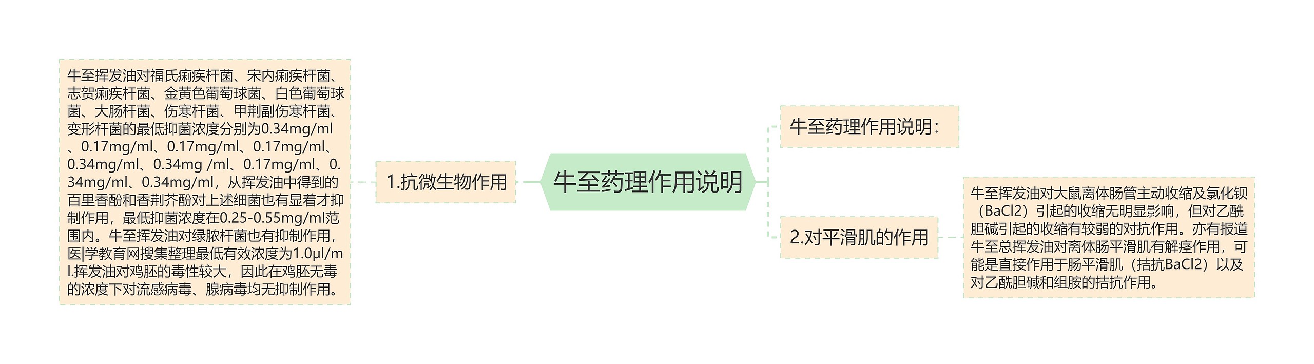 牛至药理作用说明思维导图