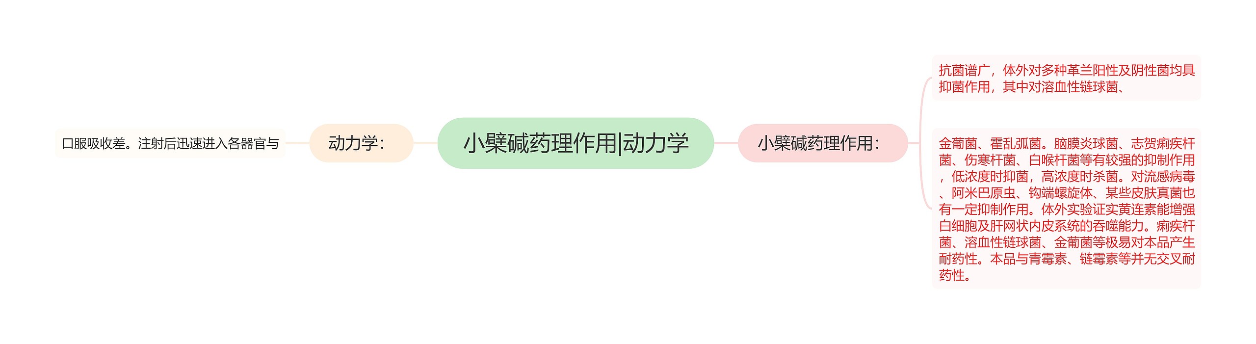 小檗碱药理作用|动力学思维导图