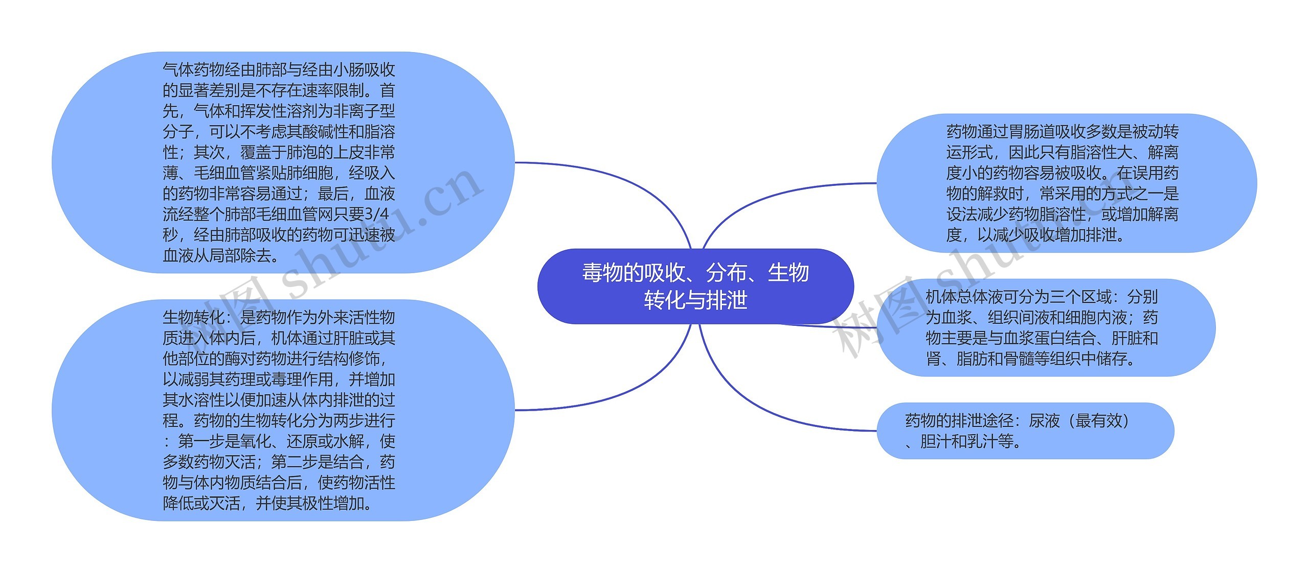 毒物的吸收、分布、生物转化与排泄思维导图