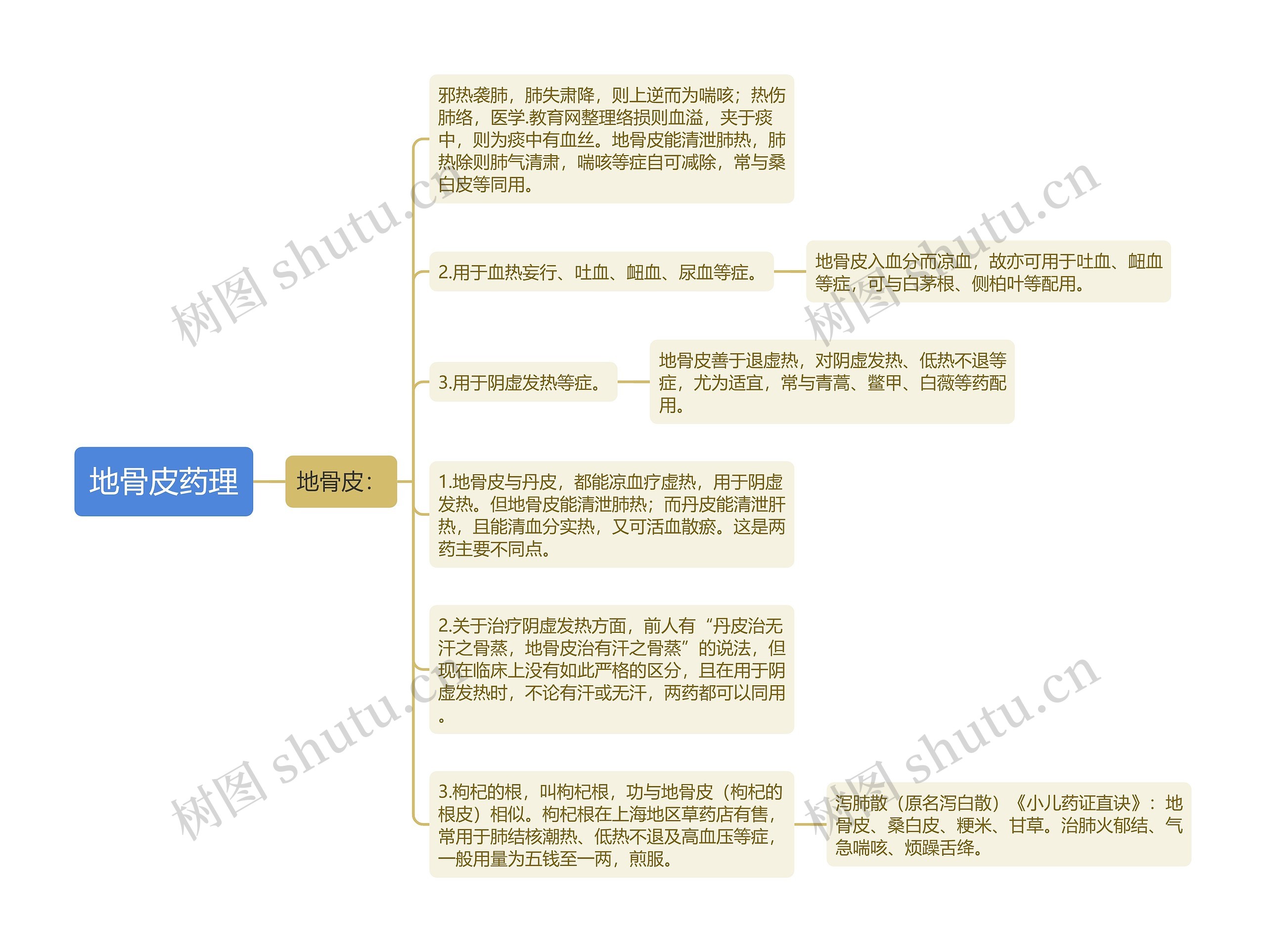 地骨皮药理思维导图