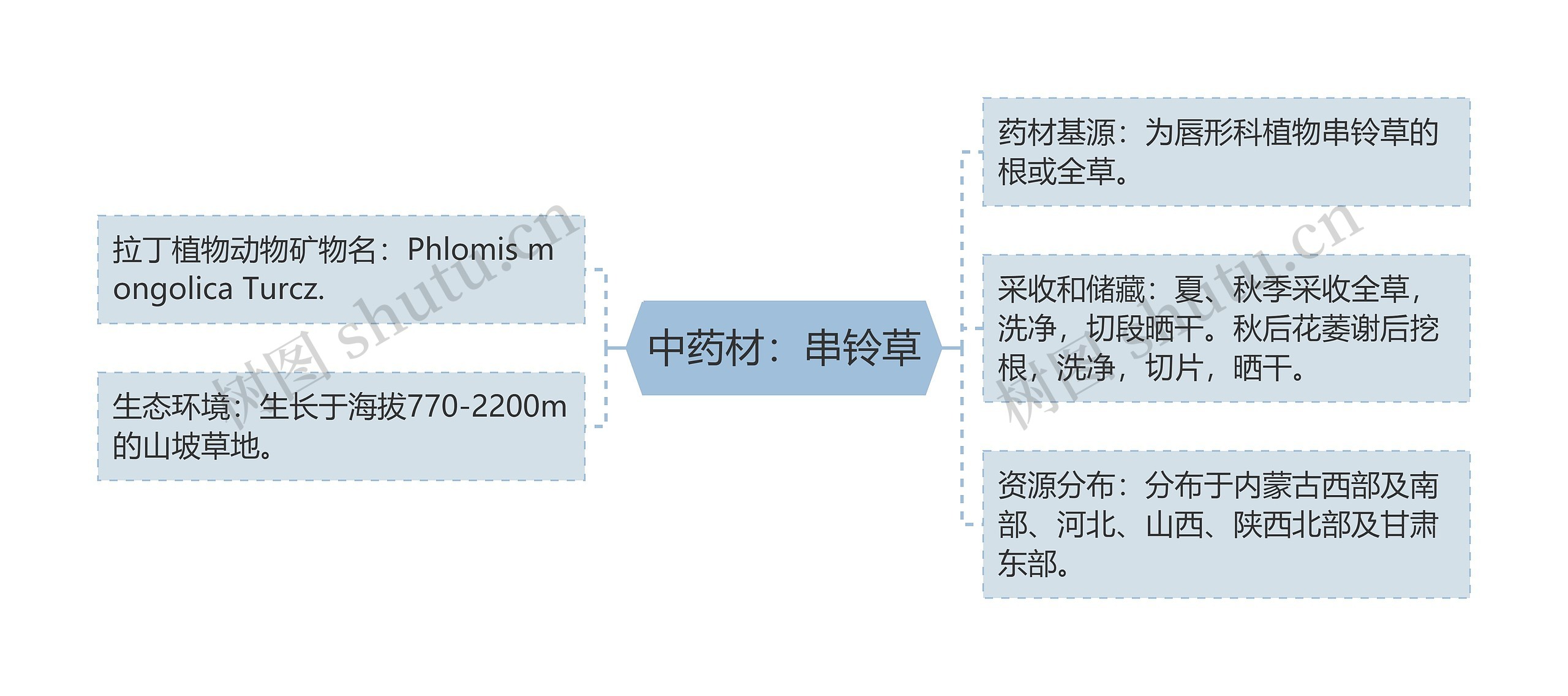 中药材：串铃草思维导图