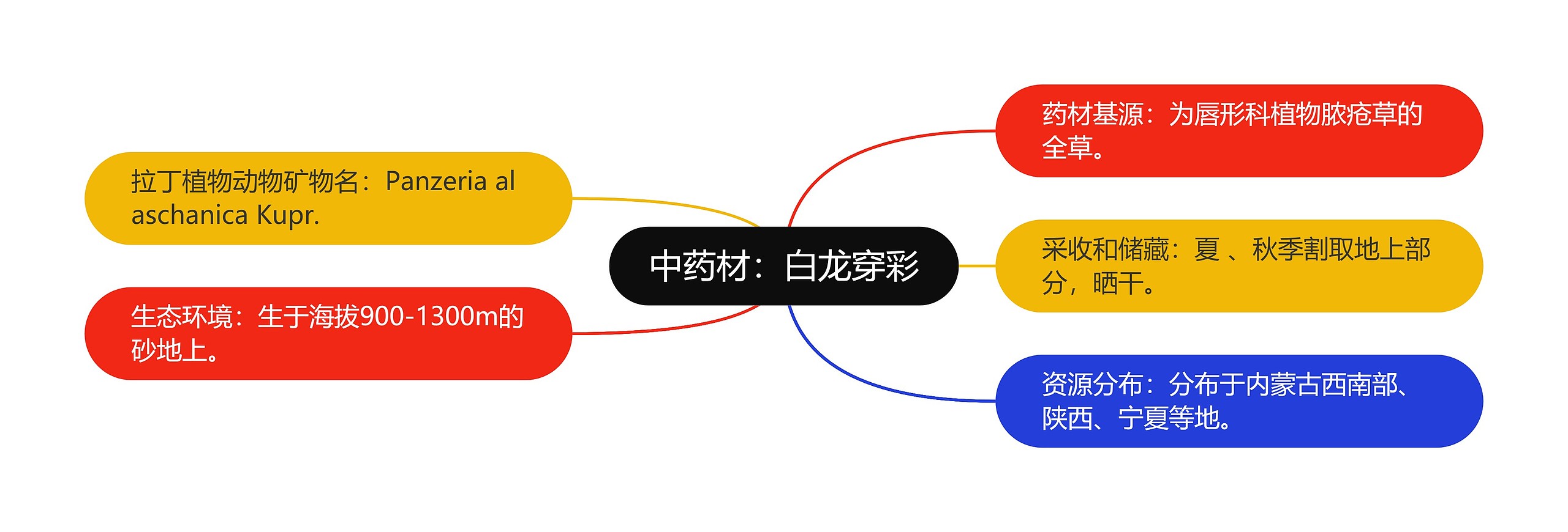 中药材:白龙穿彩 中药材:白龙穿彩