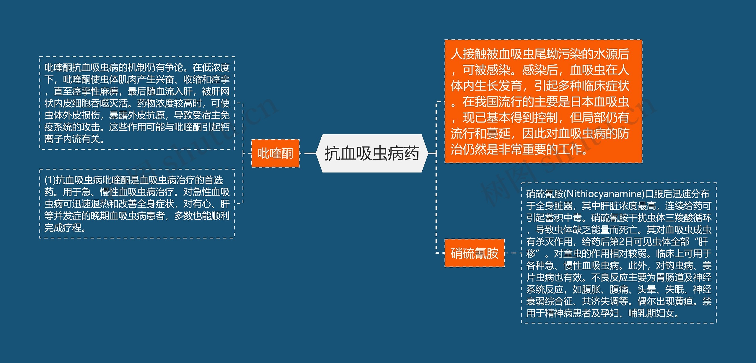 抗血吸虫病药思维导图