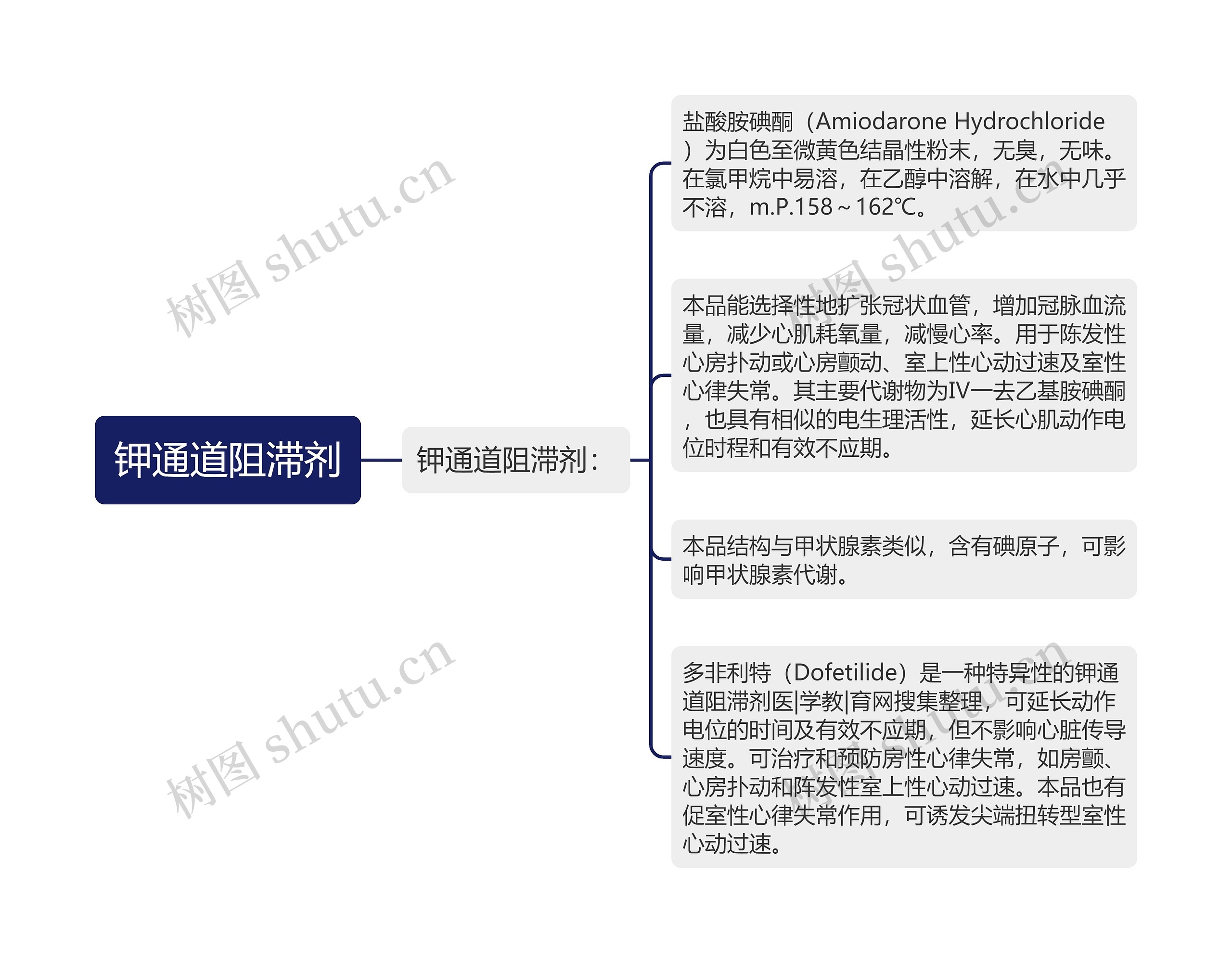 钾通道阻滞剂思维导图