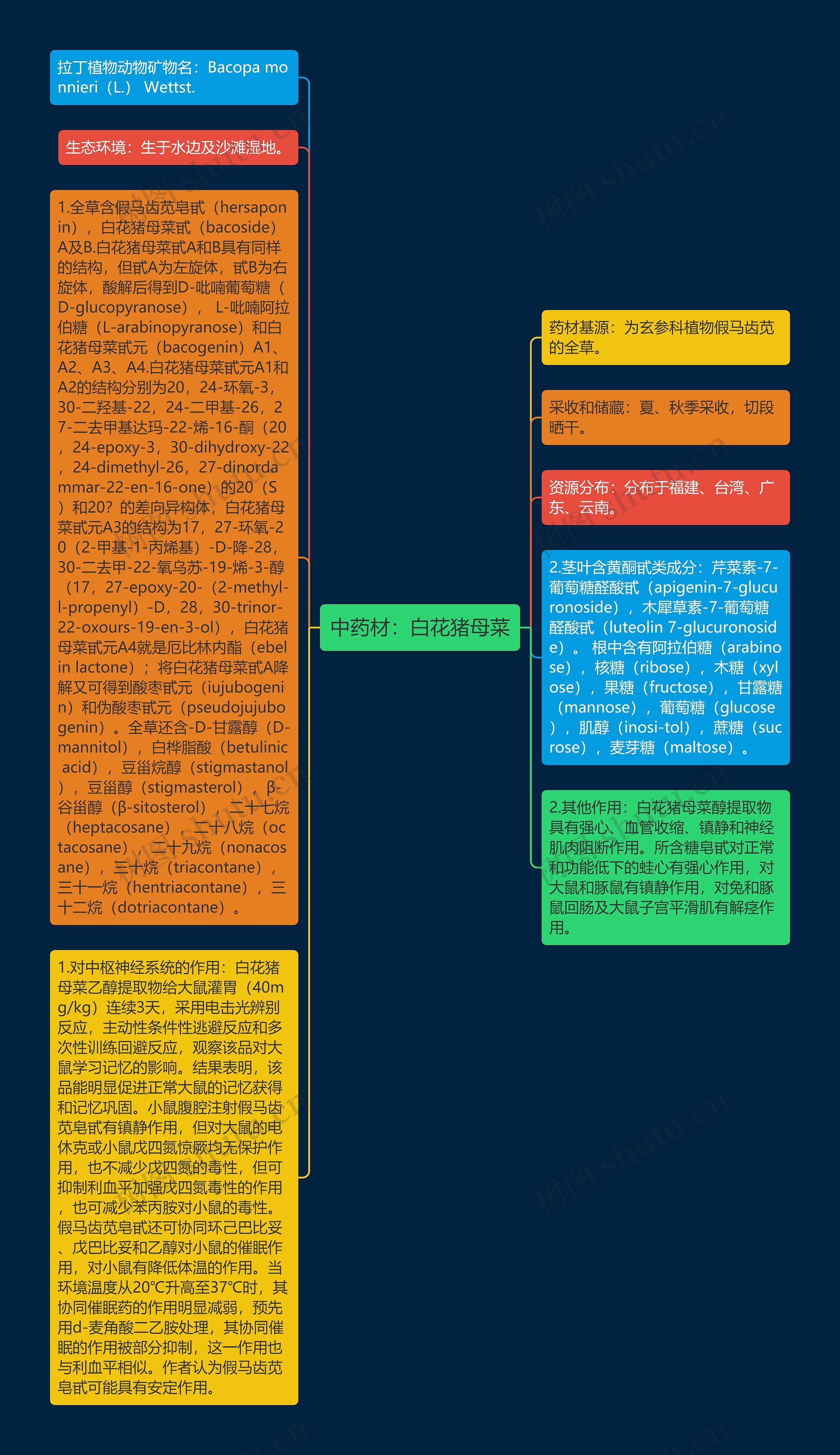 中药材：白花猪母菜思维导图