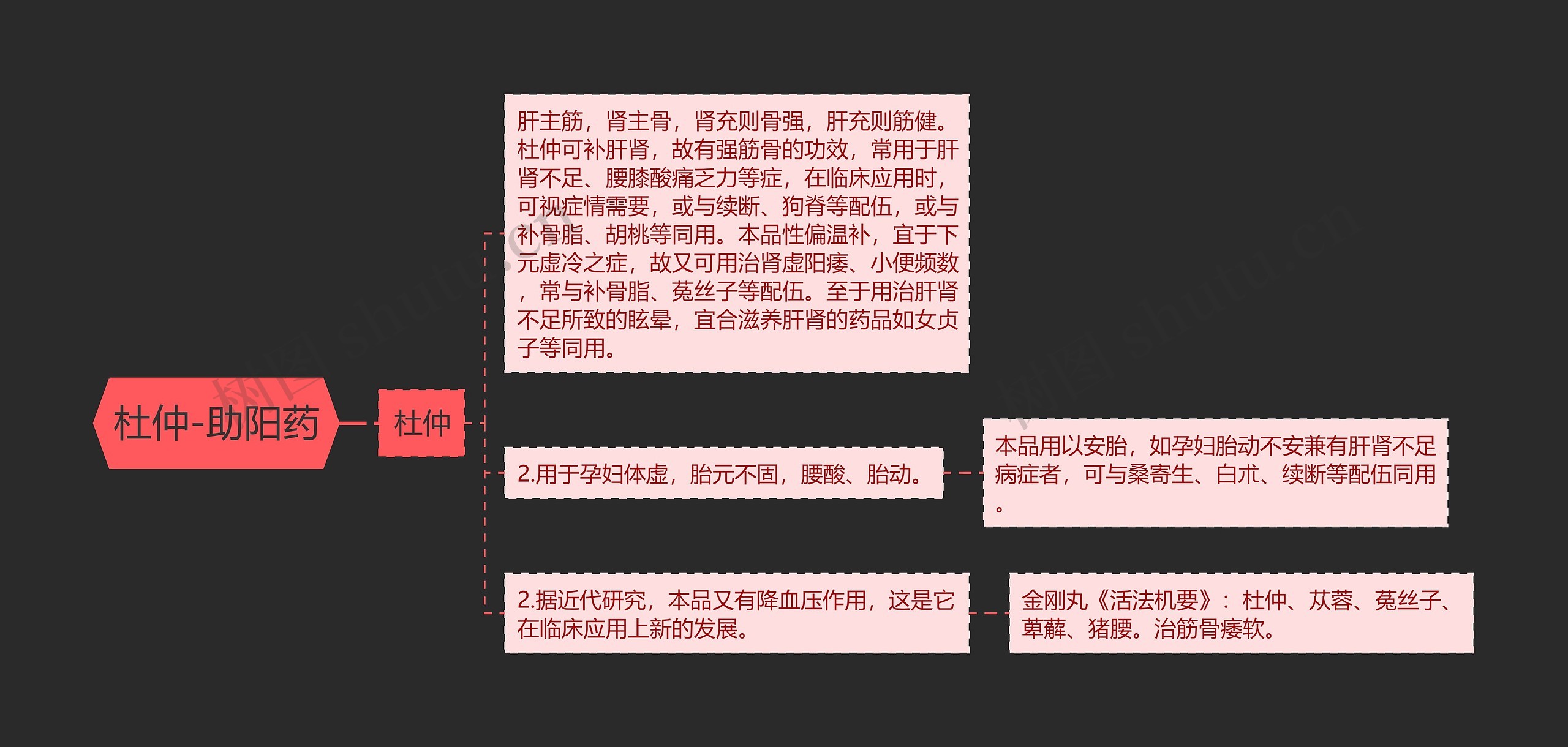 杜仲-助阳药思维导图