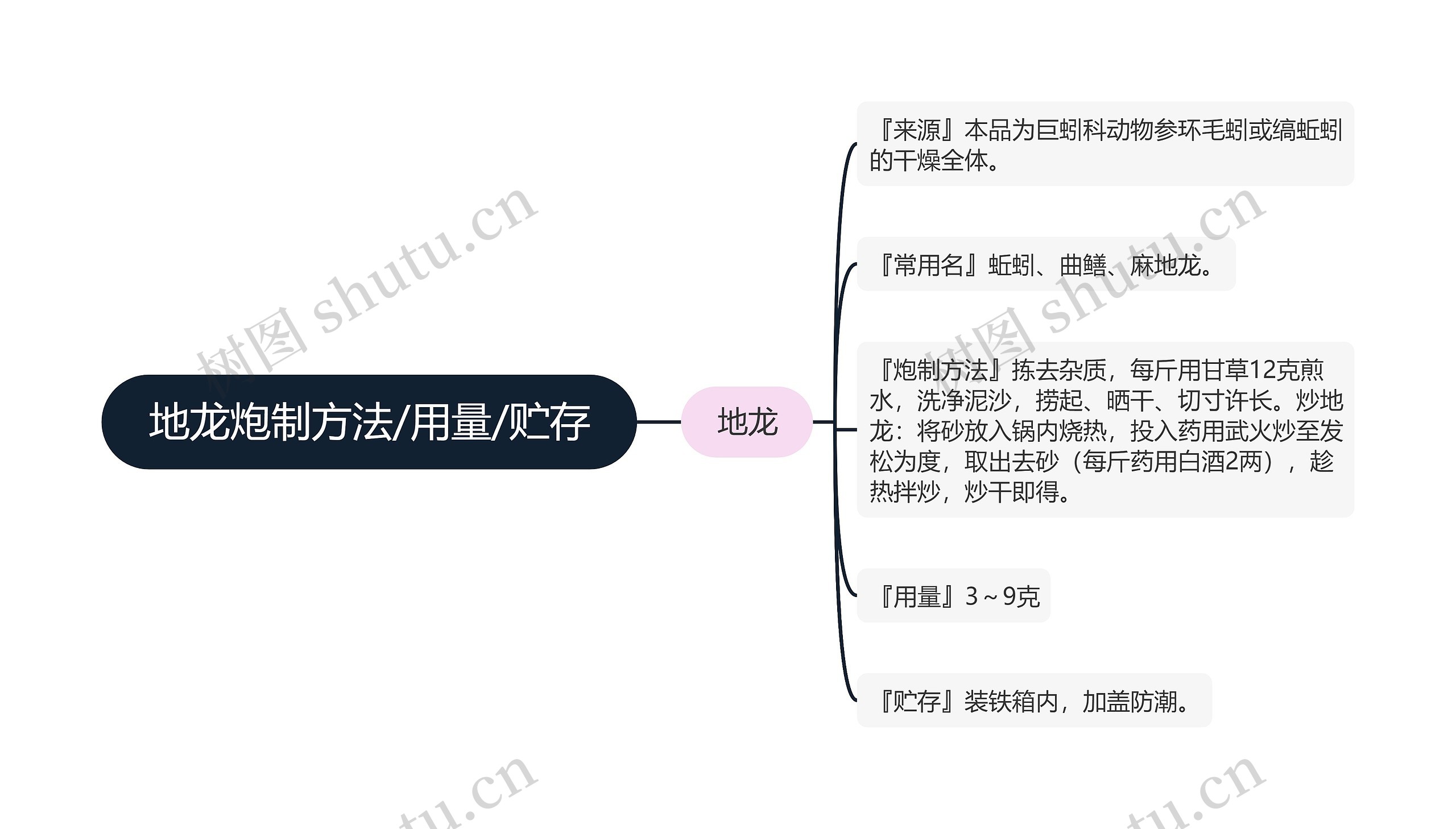 地龙炮制方法/用量/贮存思维导图