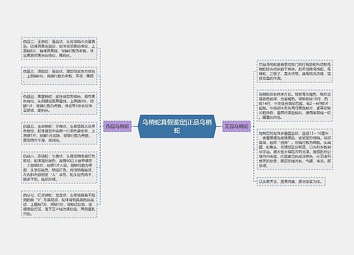 乌梢蛇真假鉴定|正品乌梢蛇