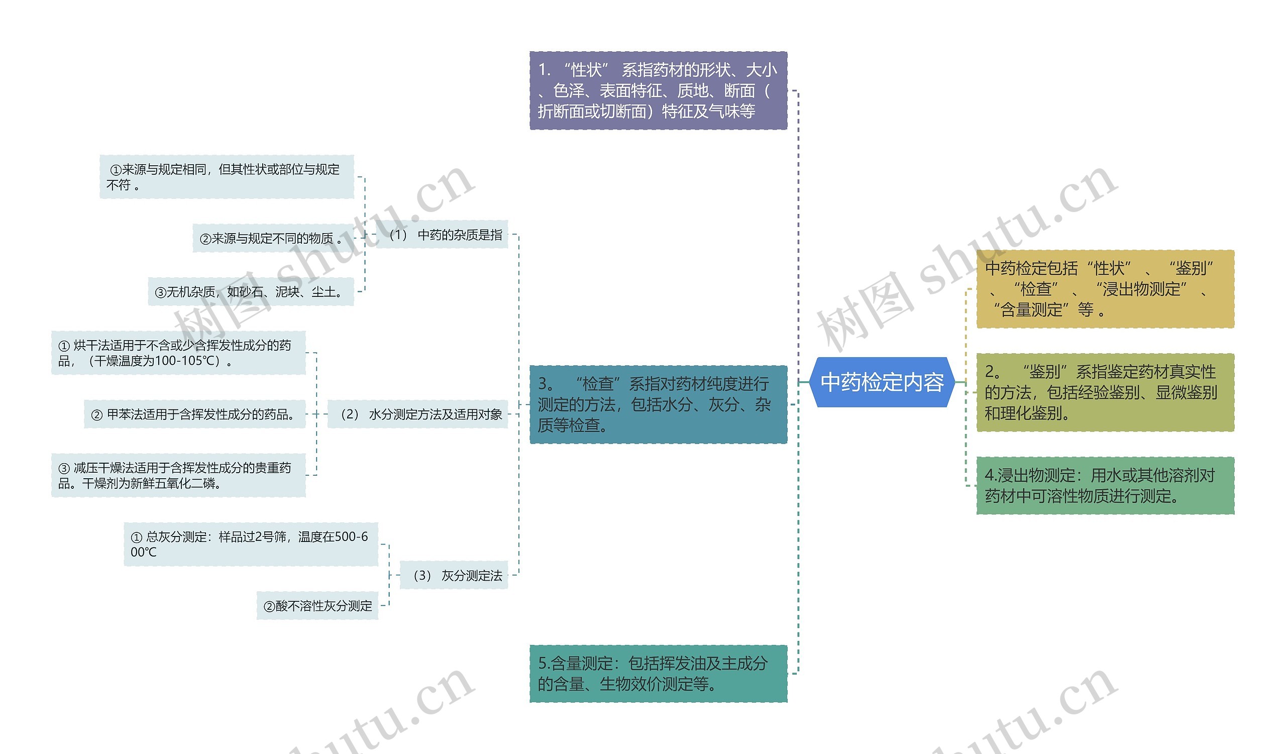 中药检定内容思维导图