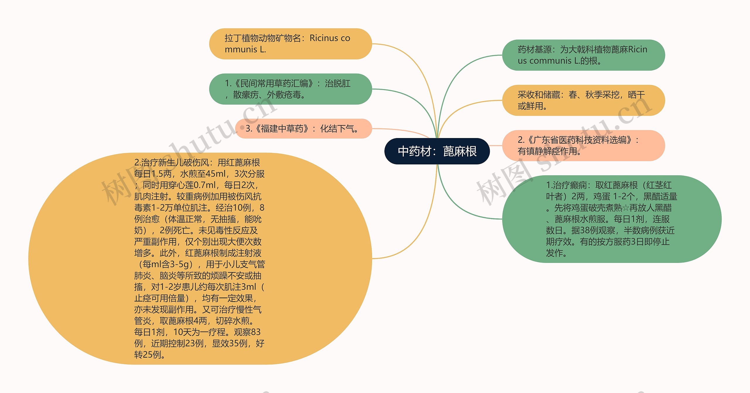 中药材：蓖麻根思维导图