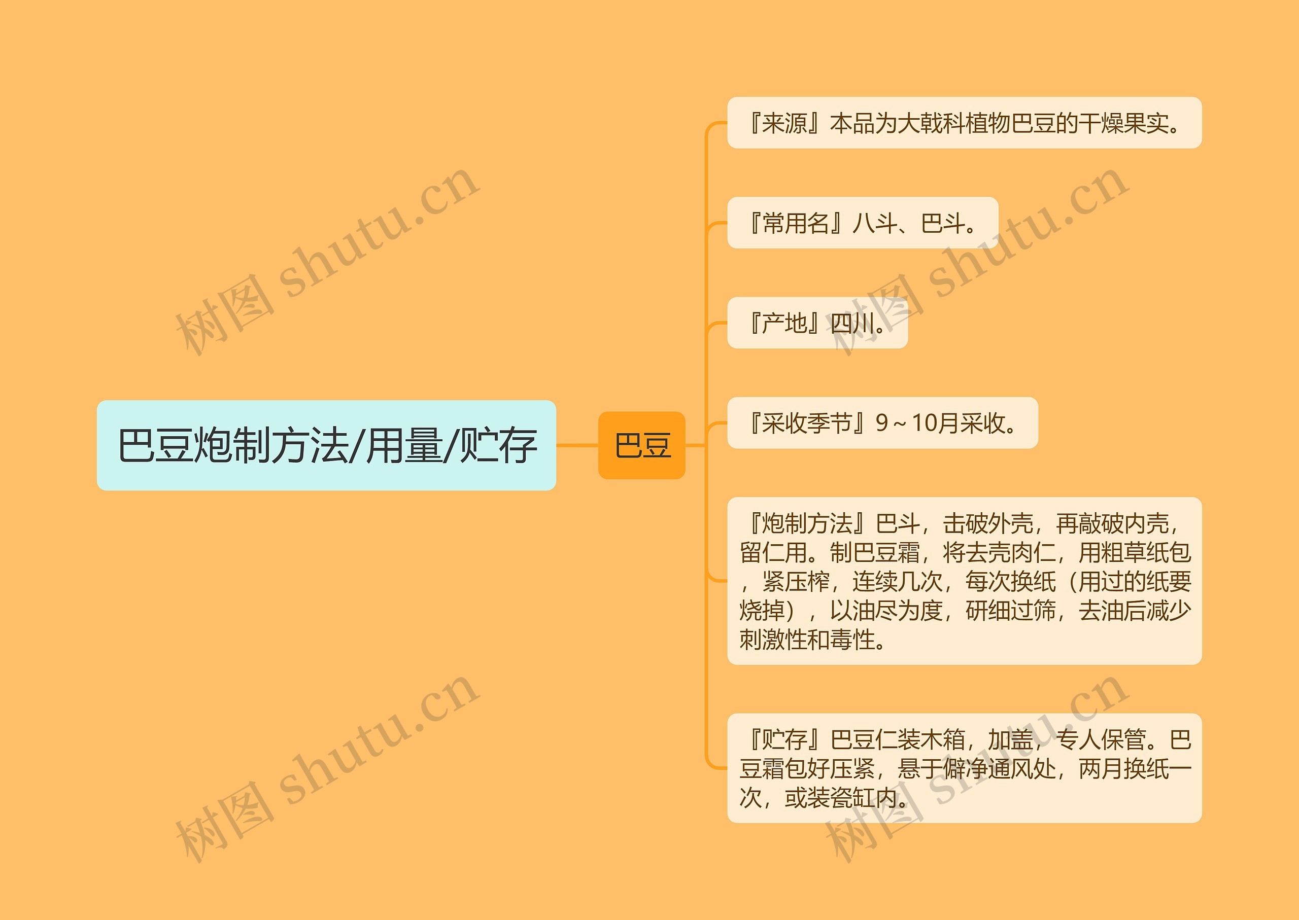 巴豆炮制方法/用量/贮存思维导图