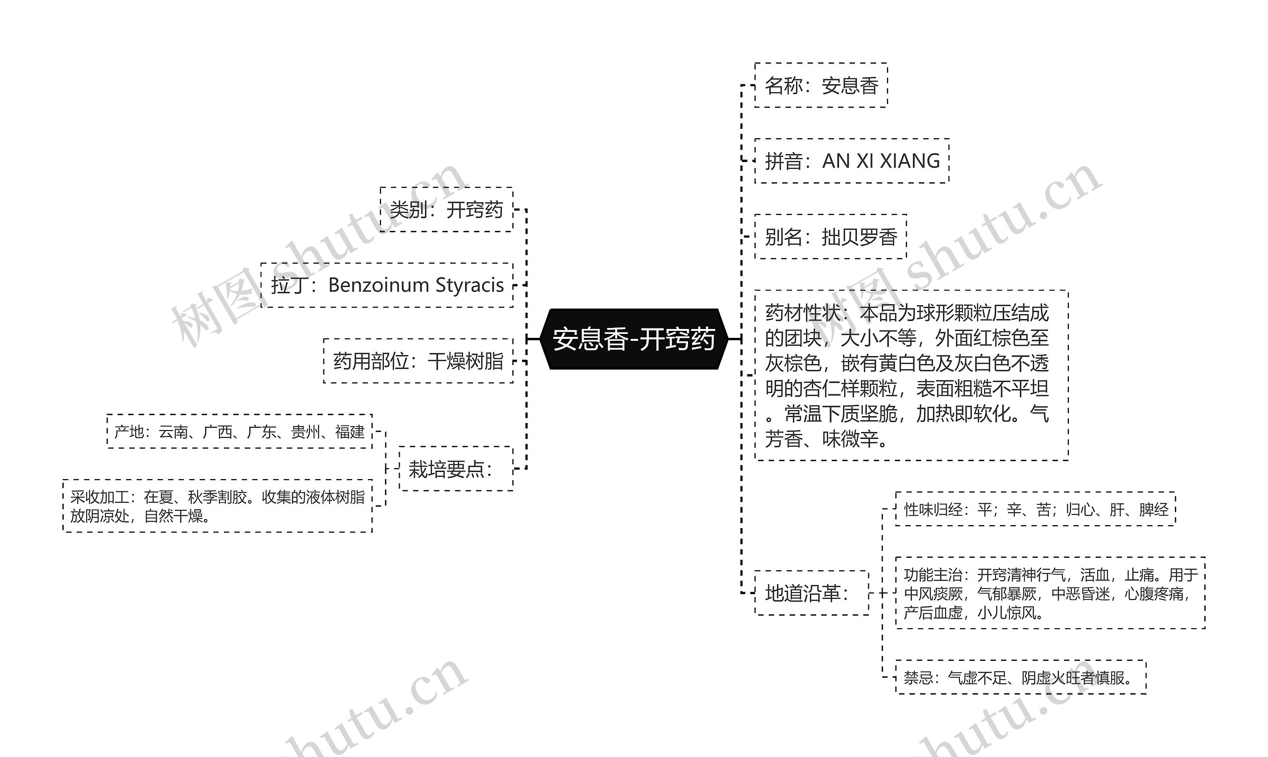 安息香-开窍药思维导图