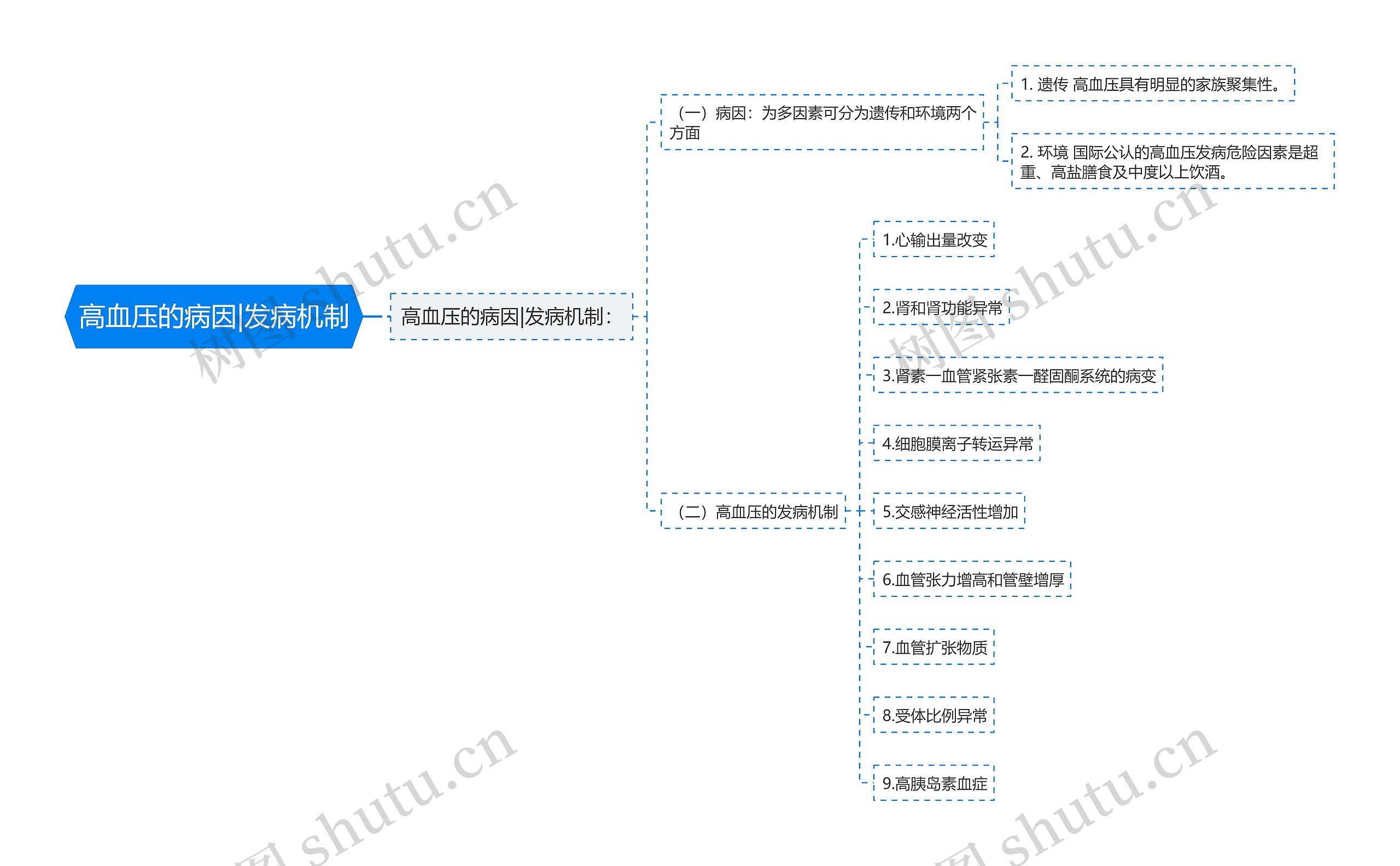 高血压的病因|发病机制思维导图