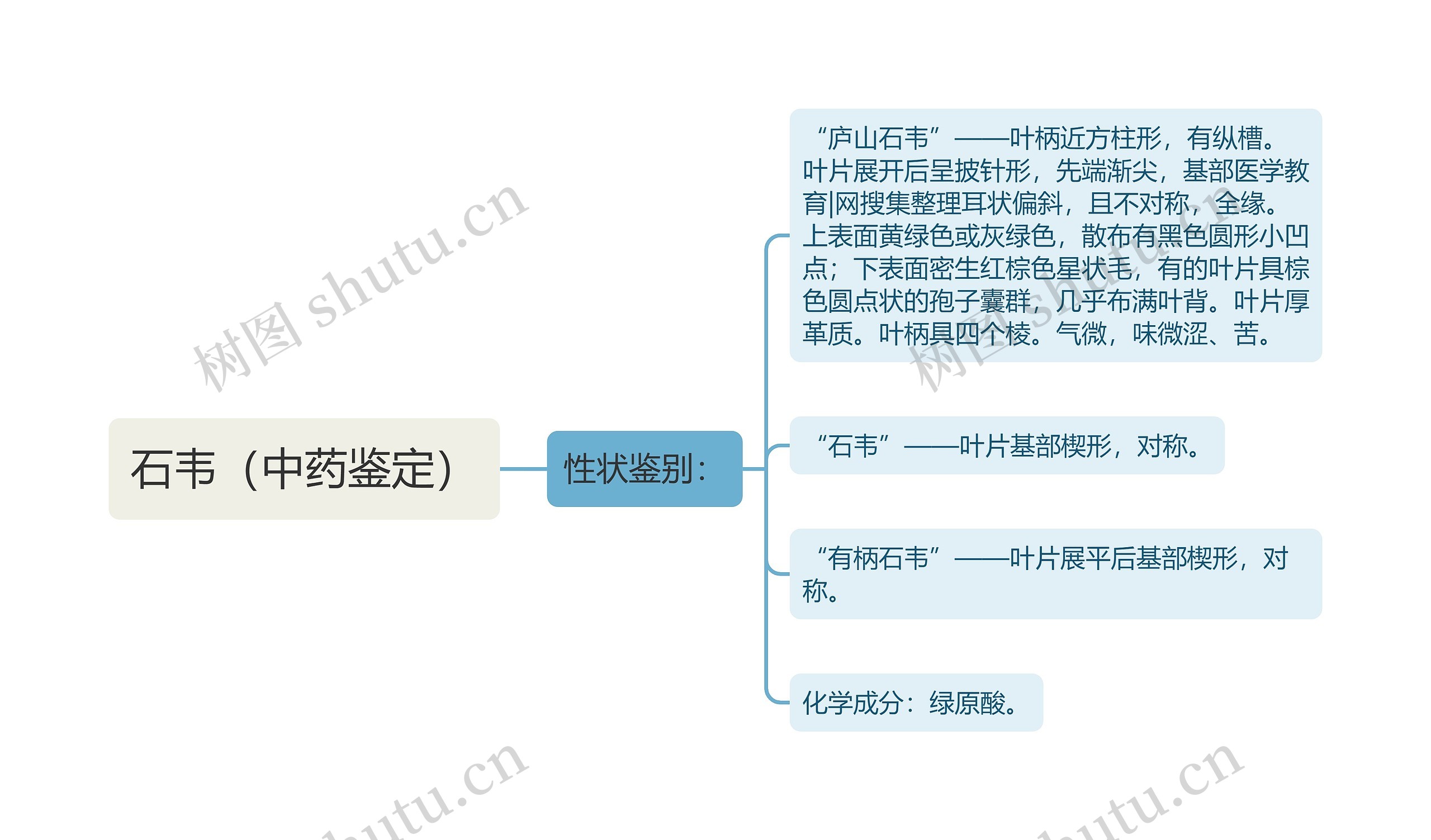 石韦（中药鉴定）思维导图