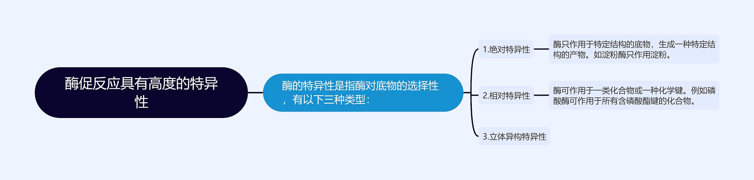 酶促反应具有高度的特异性思维导图