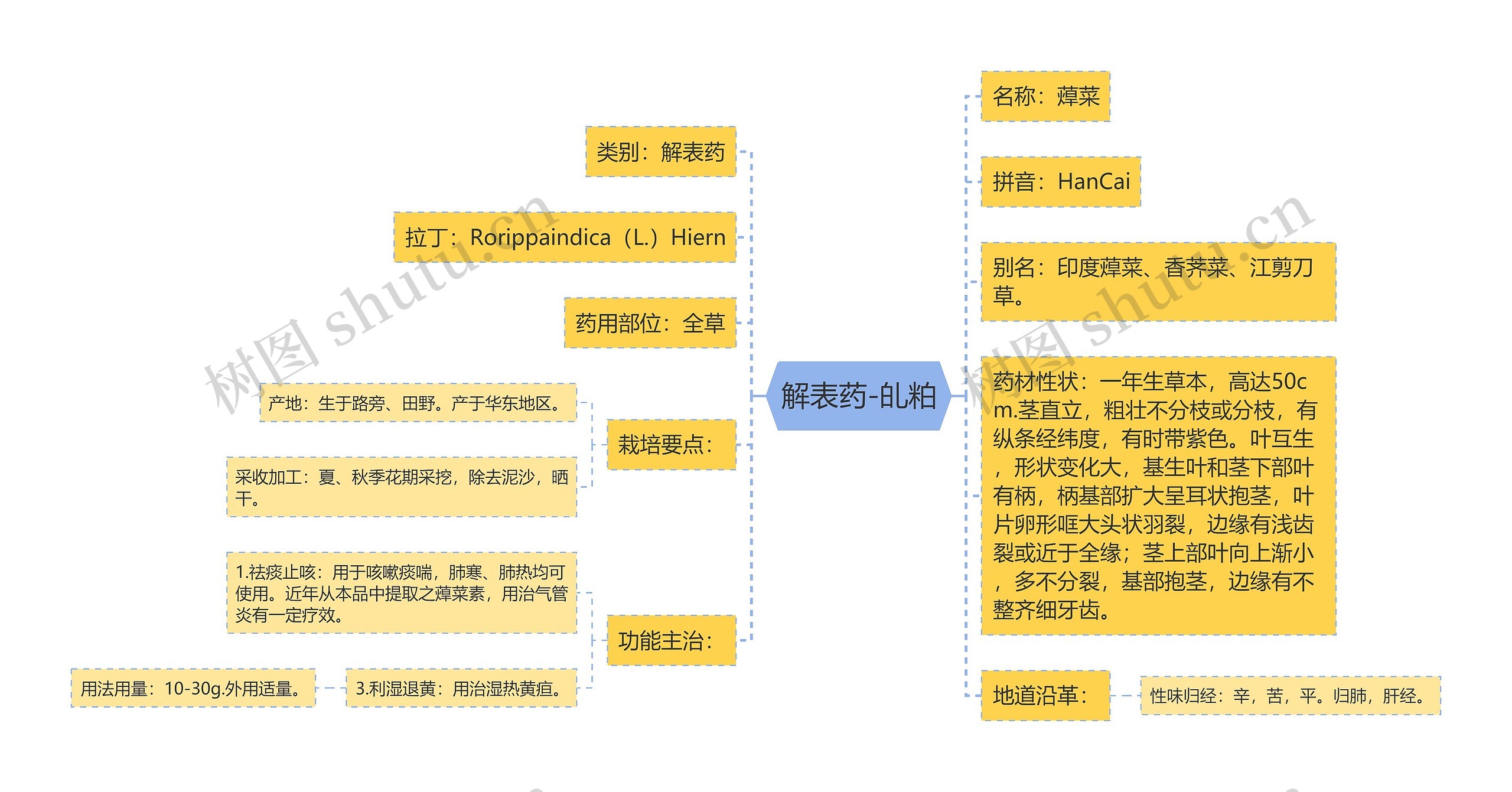 解表药-癿粕