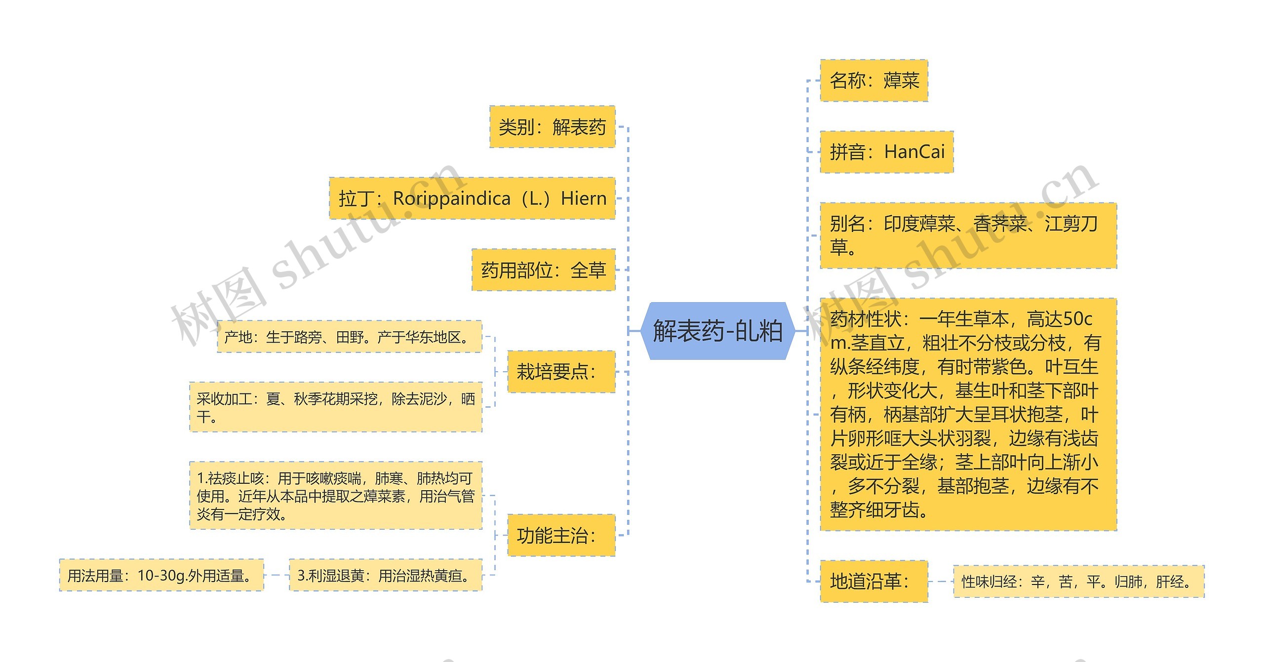 解表药-癿粕思维导图