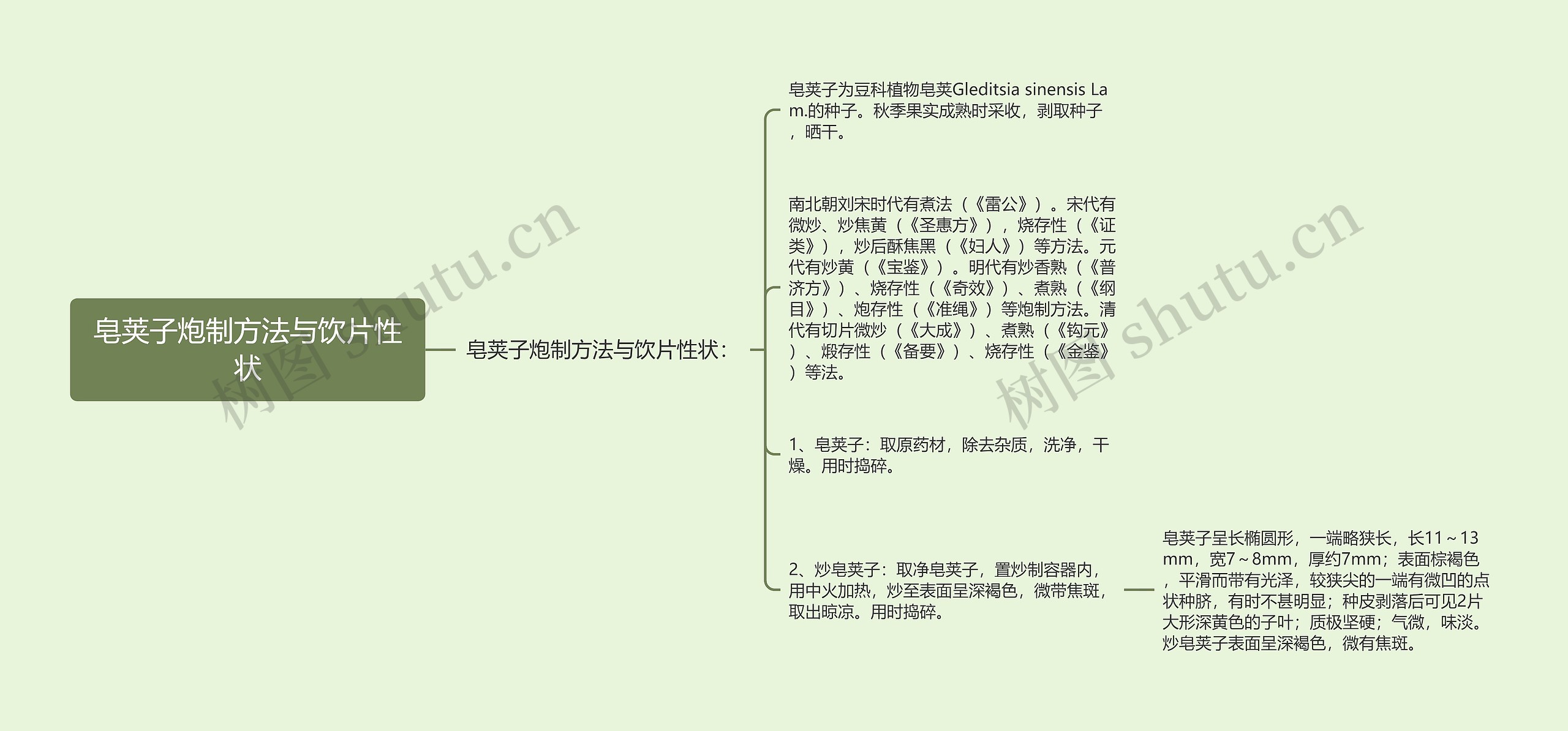 皂荚子炮制方法与饮片性状 皂荚子炮制方法与饮片性状