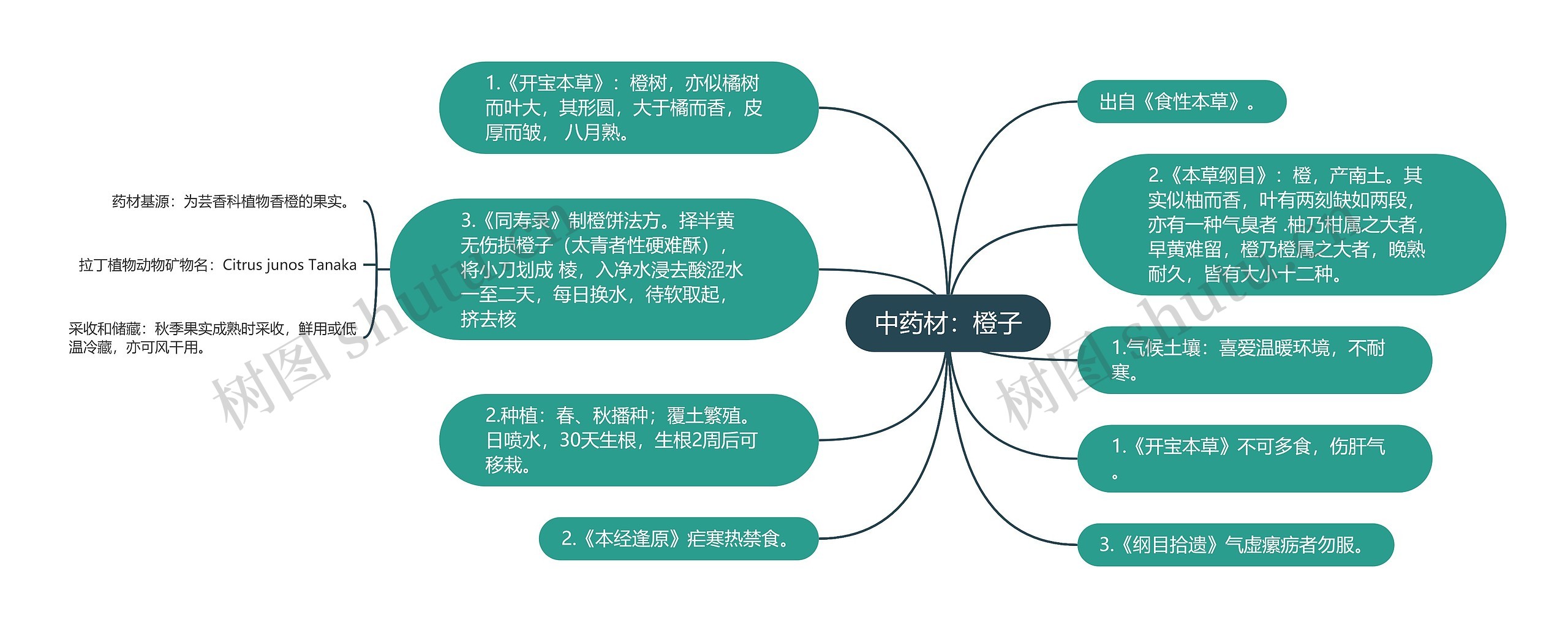 中药材：橙子思维导图