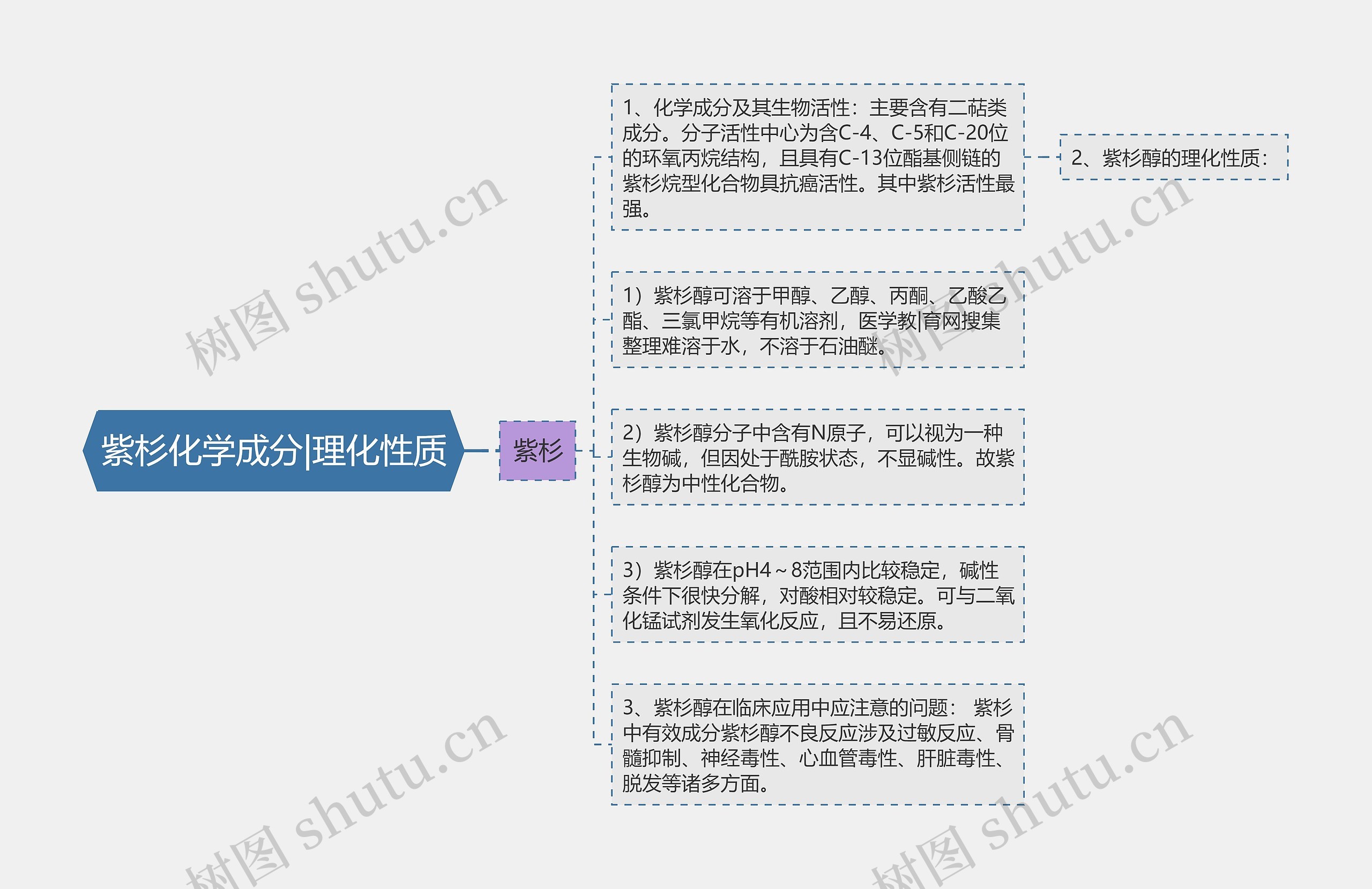 紫杉化学成分|理化性质思维导图