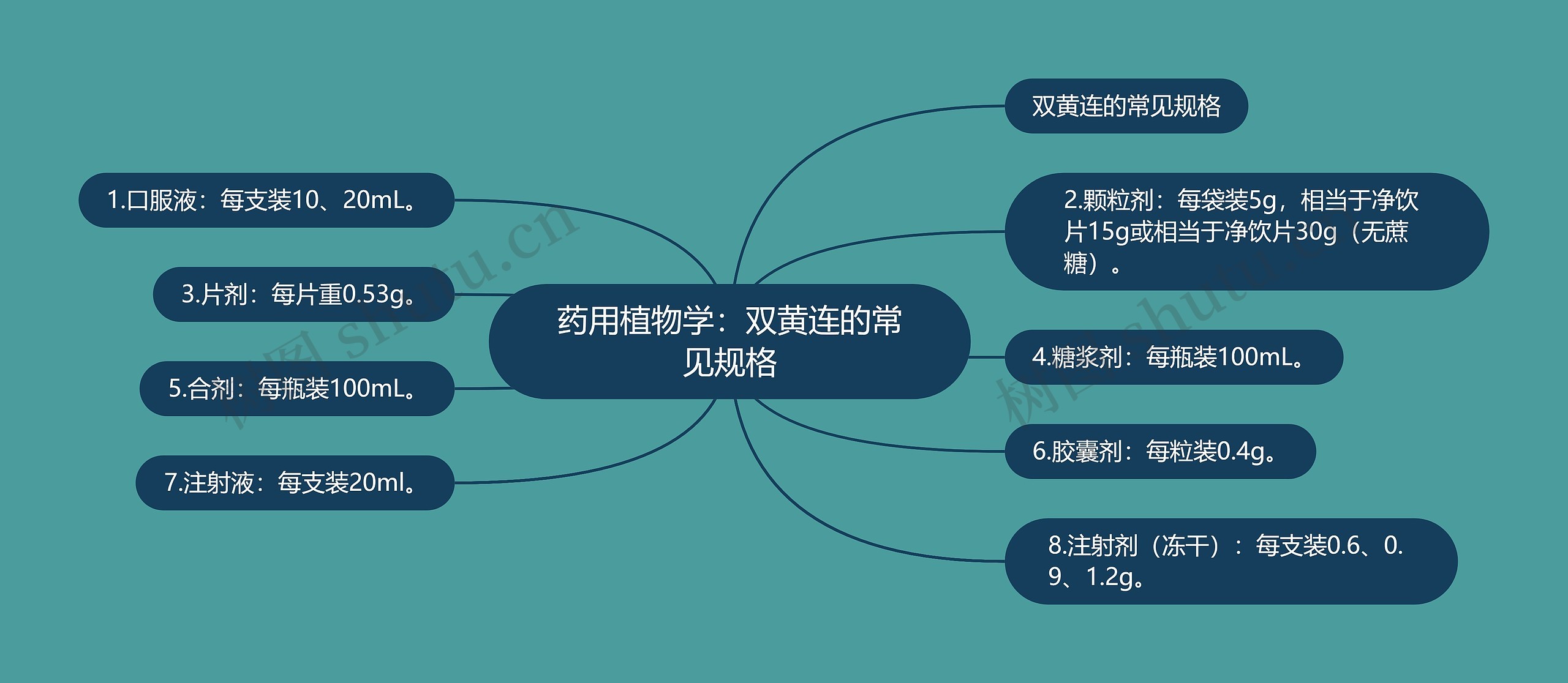 药用植物学：双黄连的常见规格