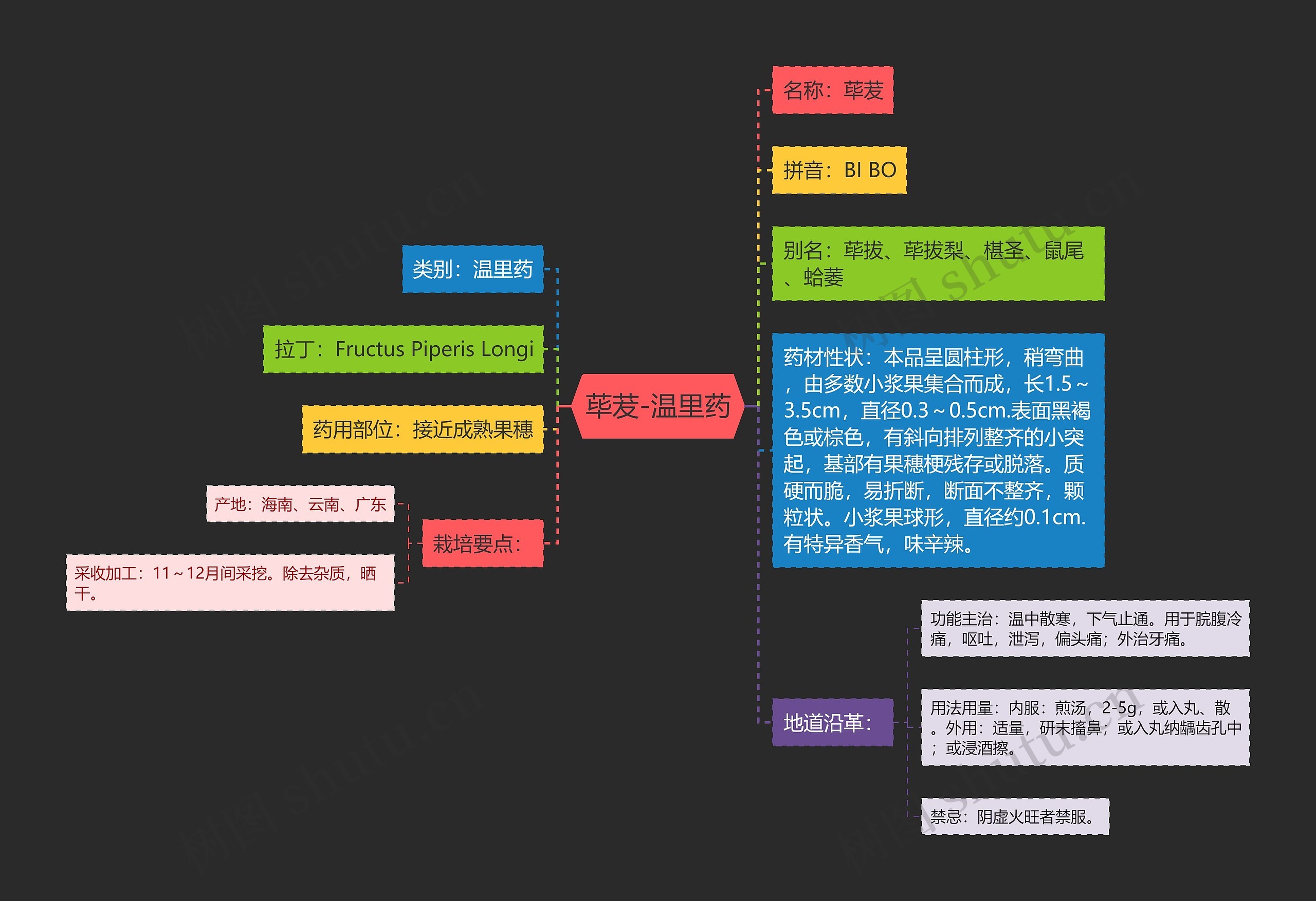 荜茇-温里药思维导图